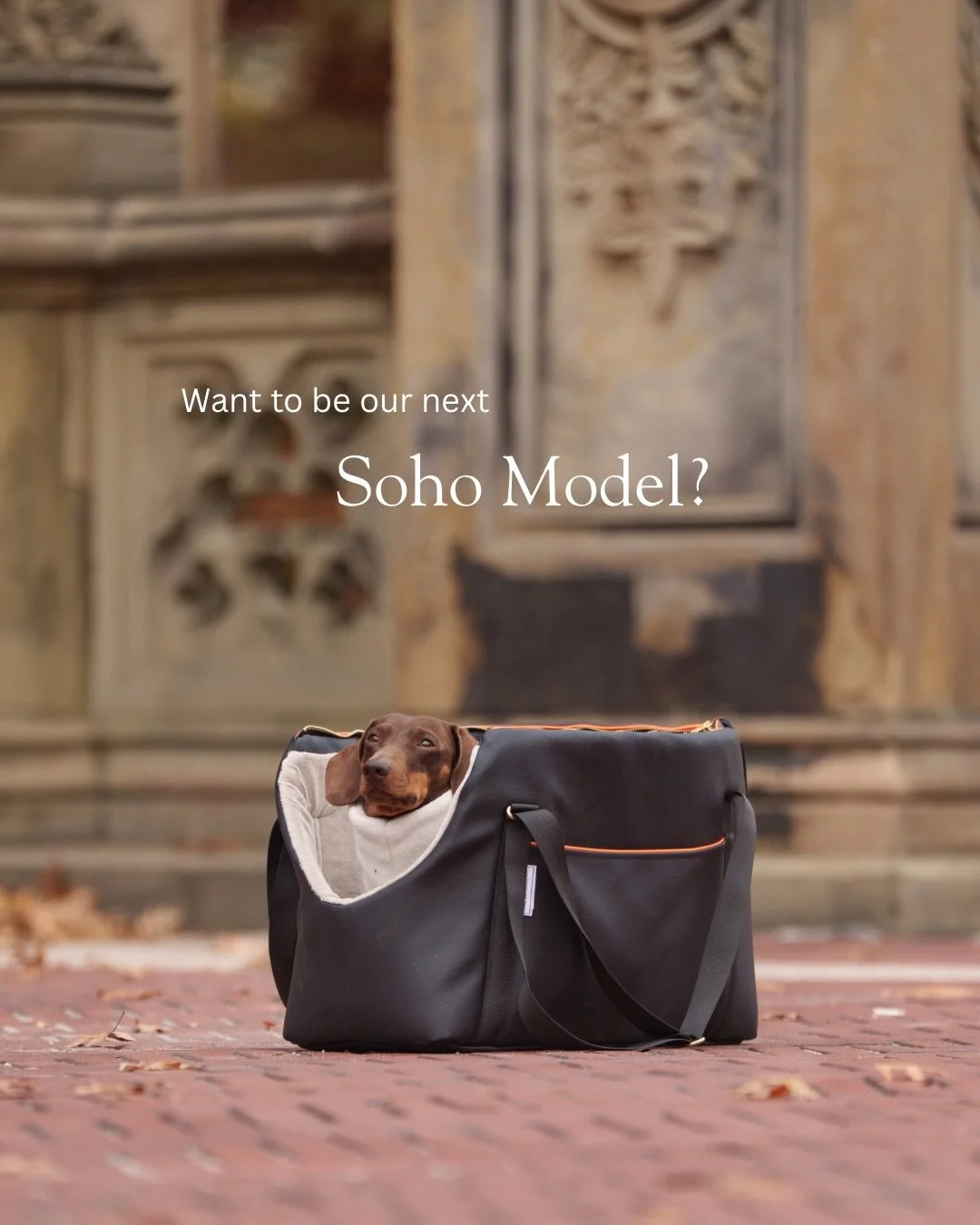 We need YOU 🫵🏼
.
Our website piccys for the Bespoke Soho Carriers could really do with a glow up &amp; some fresh imagery! 
.
So with that in mind we are looking to collab with THREE accounts that we can make bespoke carriers for in exchange for pr