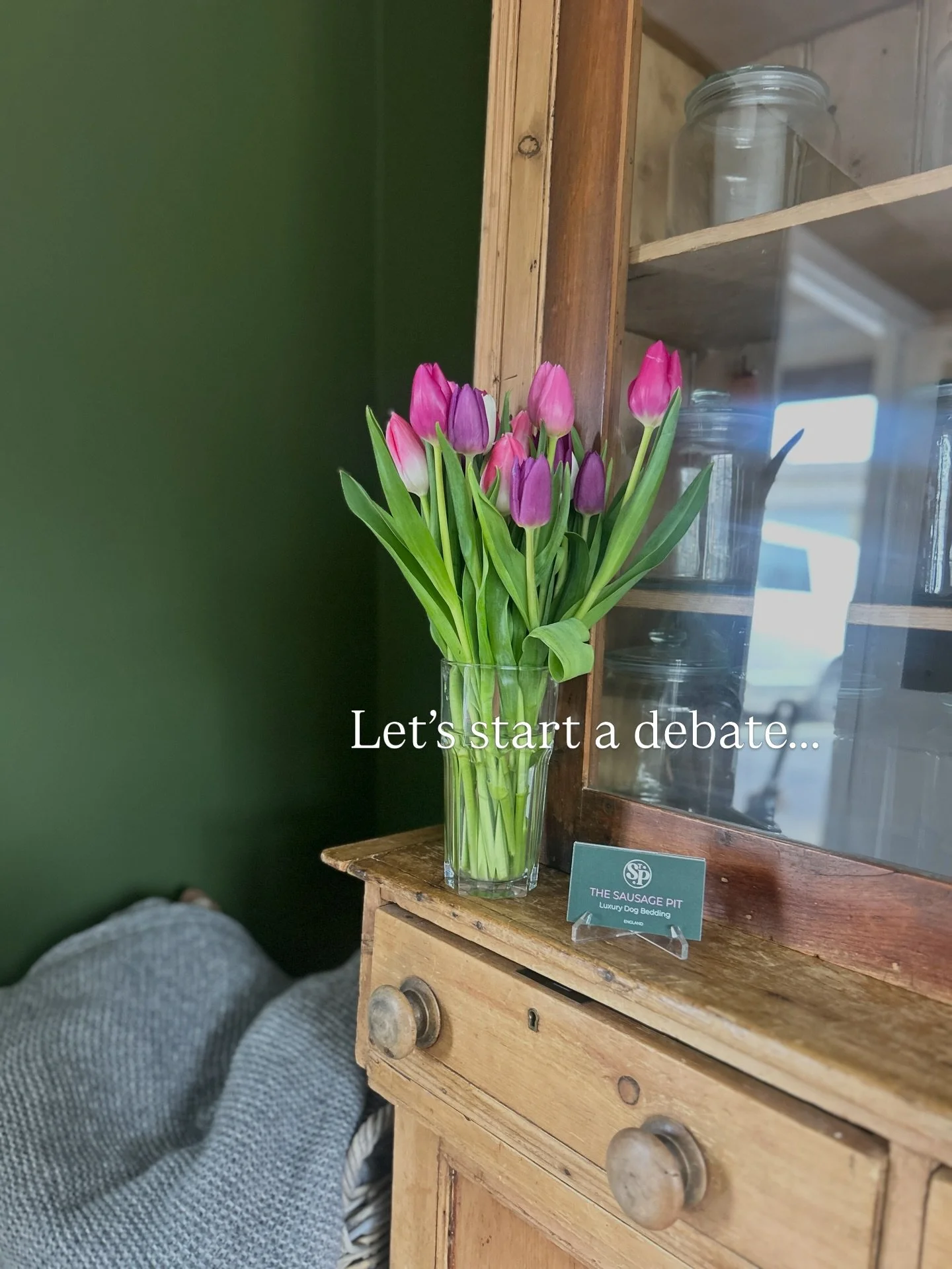 It&rsquo;s been a while since we asked this, and perhaps your influence will help our next customers decisions! 
.
What do you prefer? Are you an OG customer who&rsquo;s tried it all?? Tell us! 
.
#thesausagepit #luxurydogbed #dachshund #ilovemydog