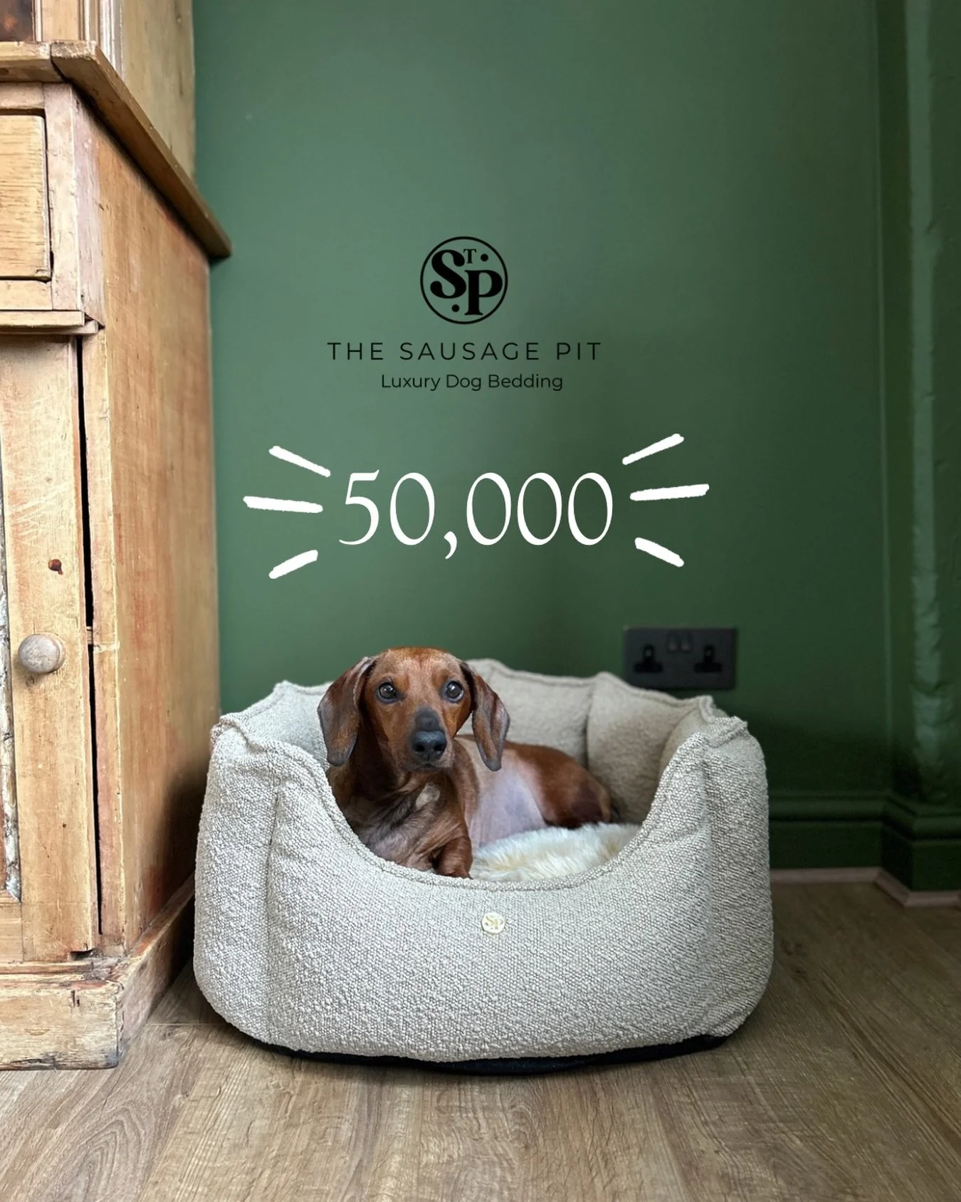 50,000 of you 🥹🥹
.
Yesterday we hit not one but TWO HUGE Milestones for us here at The Sausage Pit!
.
Our 1000th post AND a huge army of 50,000 loyal customers here for Sausage content! 
.
If You&rsquo;re new here, welcome to the club! It gets addi