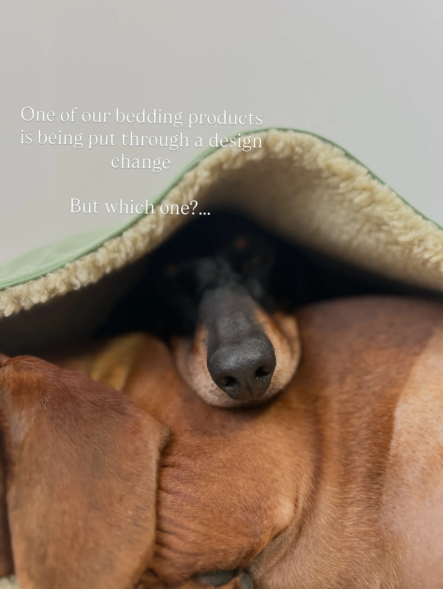 We love to keep things ✨Fresh✨
So we&rsquo;re making a change, new shapes, new colours for 2026 and new constructions
.
We are very excited, but not letting on too much just yet!
.
Also FYI.. if you remember what we did with the Cubby&rsquo;s this ti