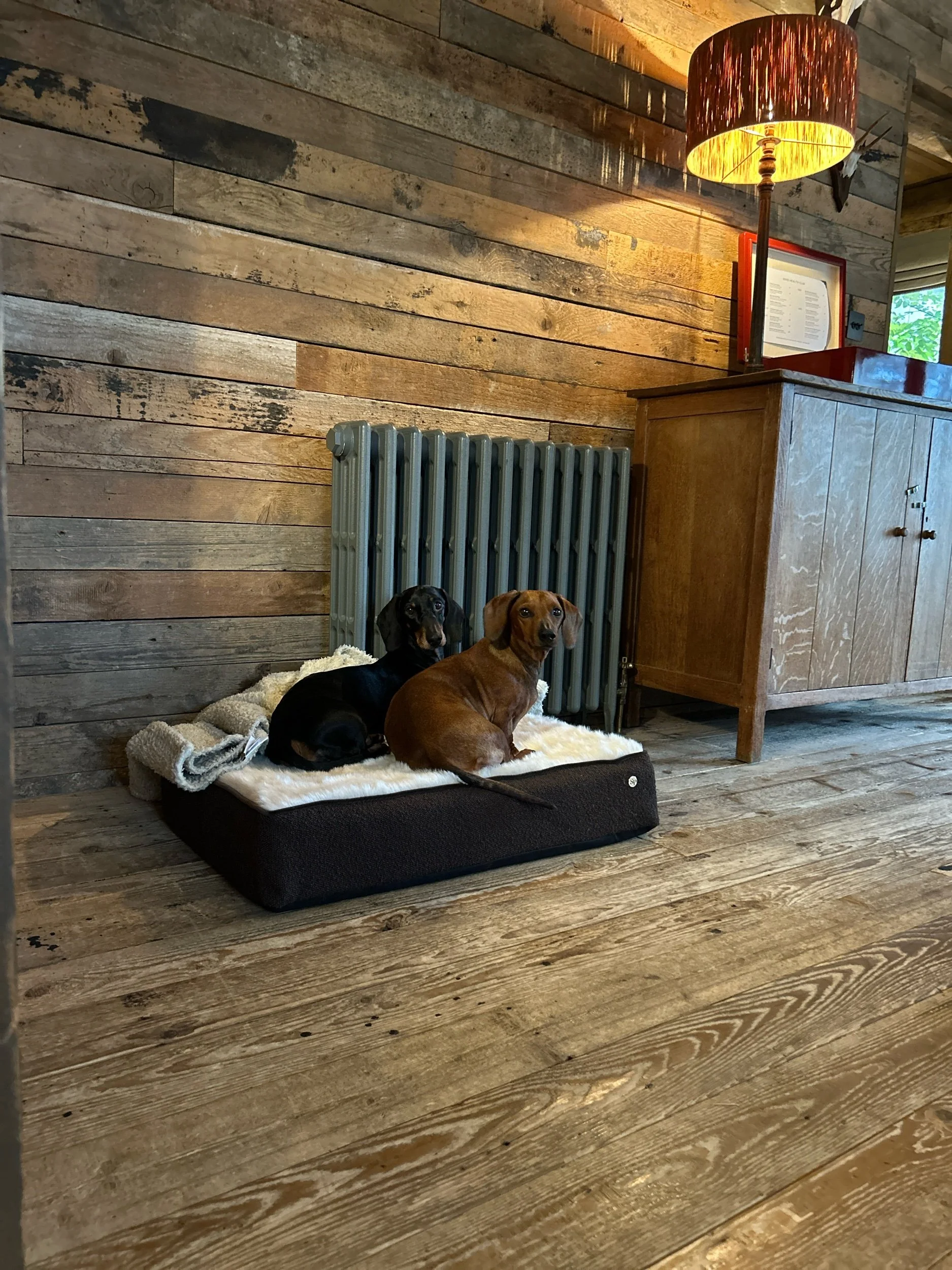 The Sausage Pad- Memory Foam Lounger
