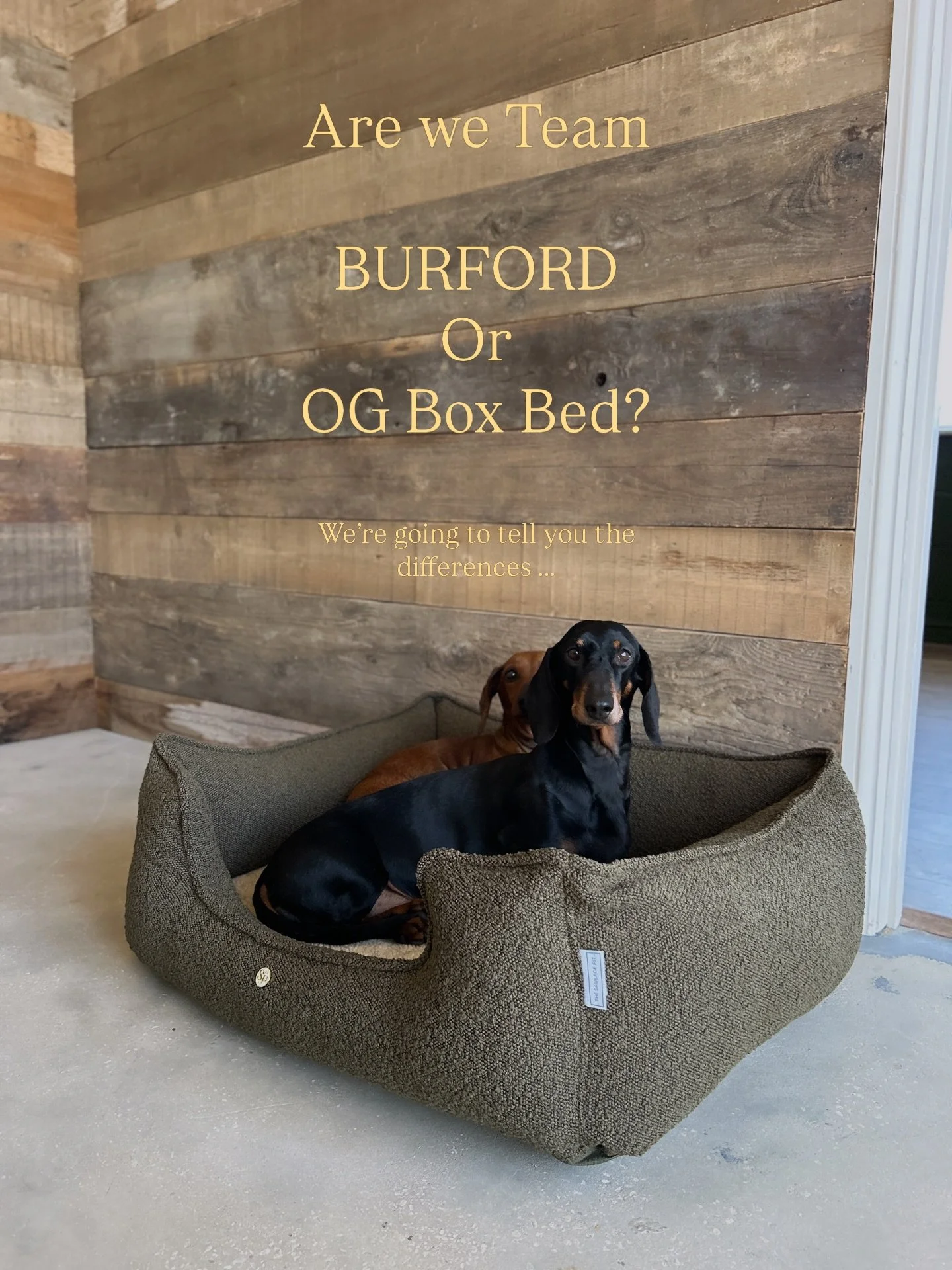 Team Burford, or Team OG Box Bed? 

Let us know 👇🏻⬇️

.
#thesausagepit #dogbed #luxurydogbed #dachshund #sausagedog
