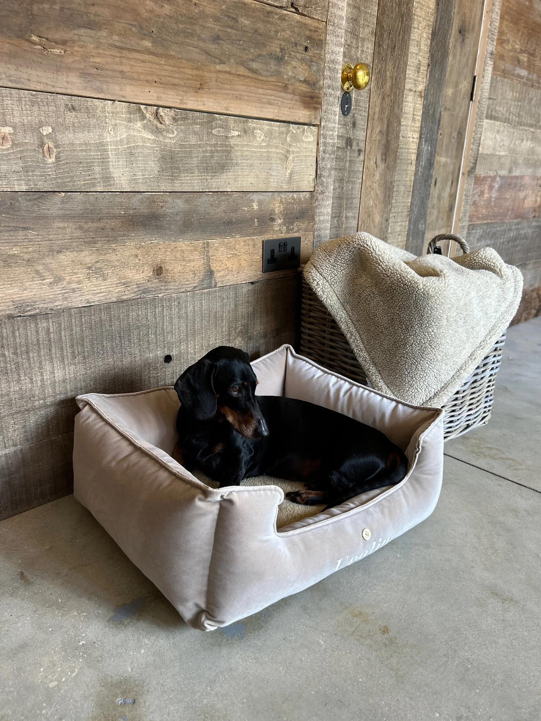 The Burford Bed- Mink Velour