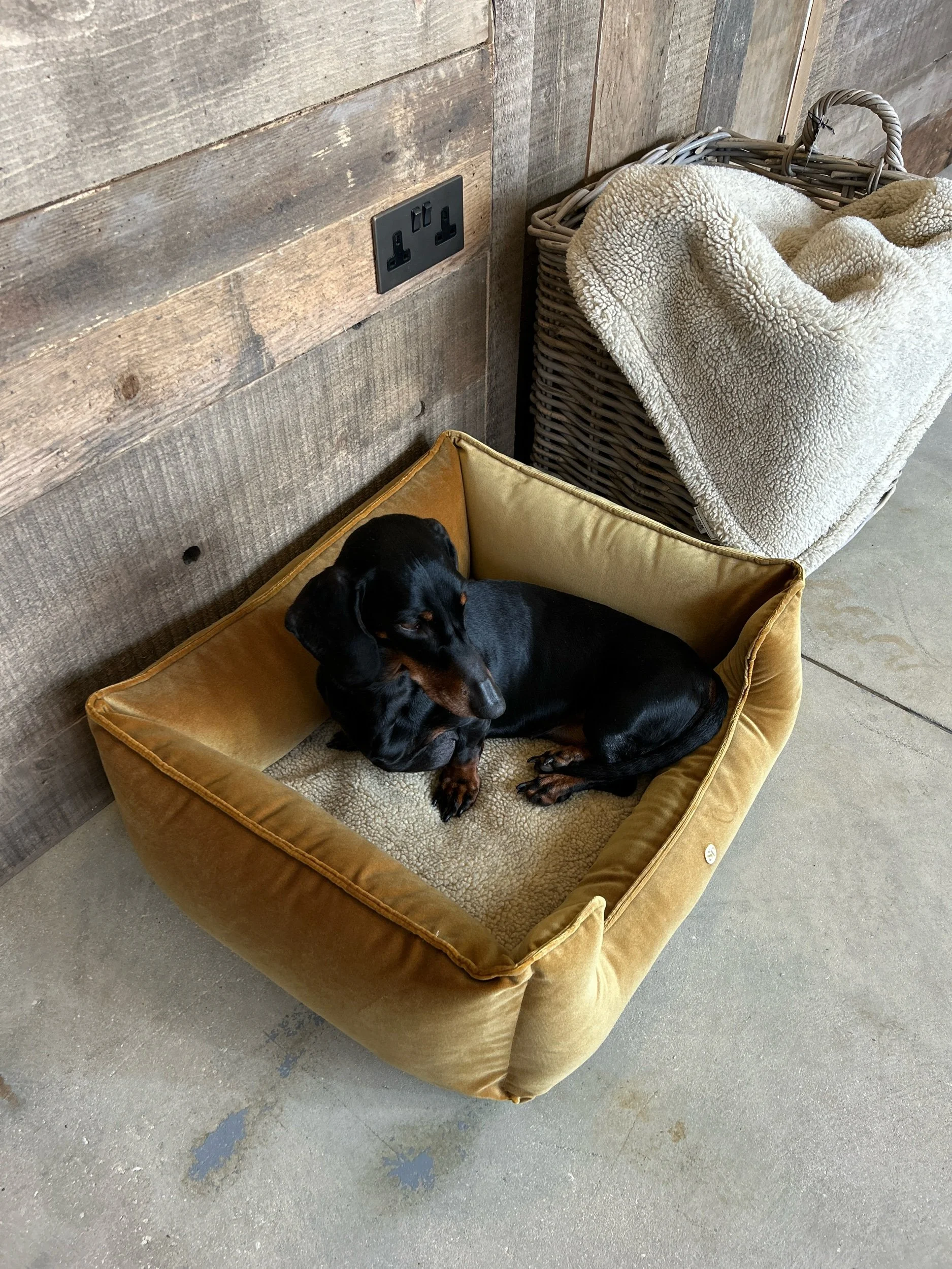 The Burford Bed-Mustard Velour