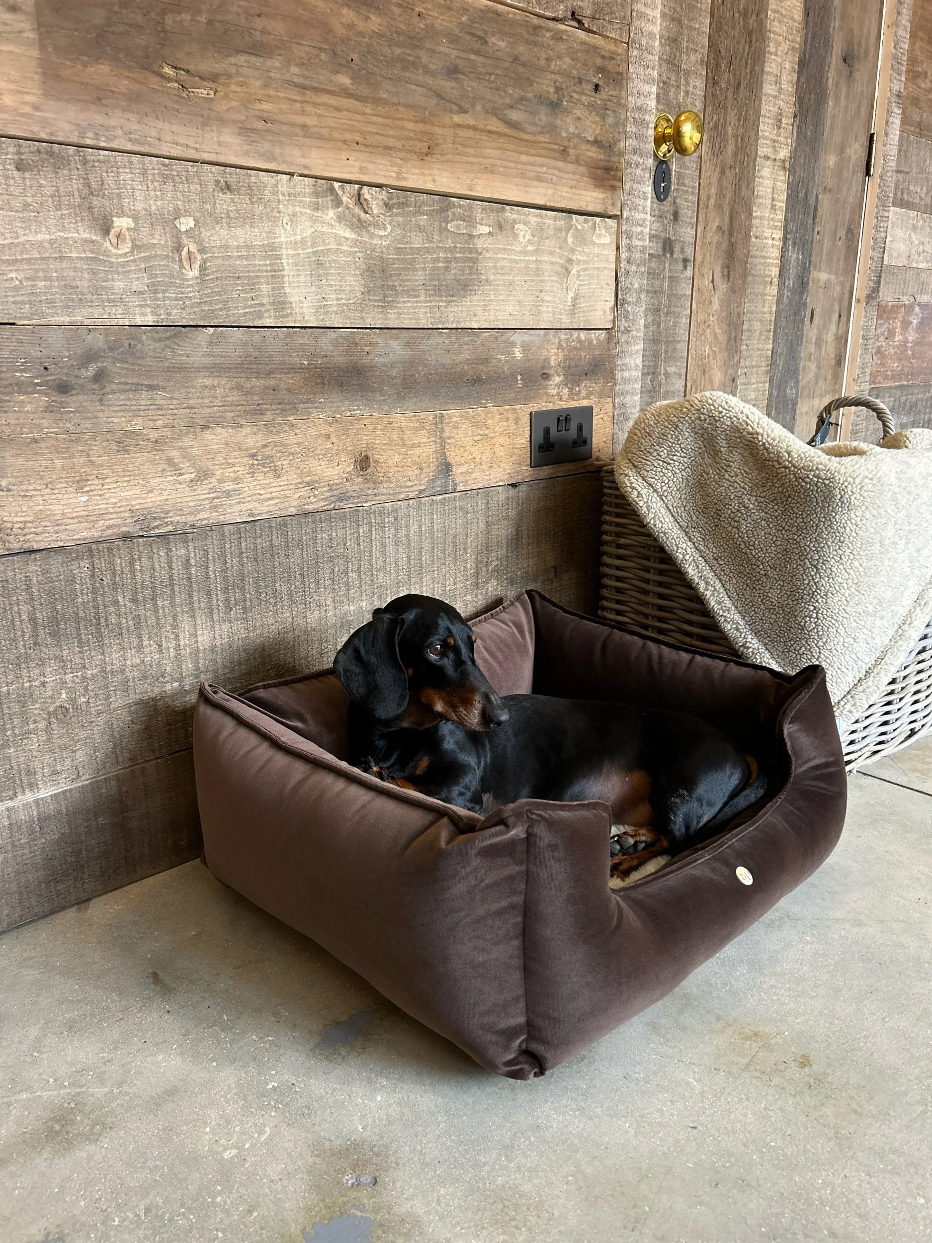 The Burford Bed- Espresso Velour