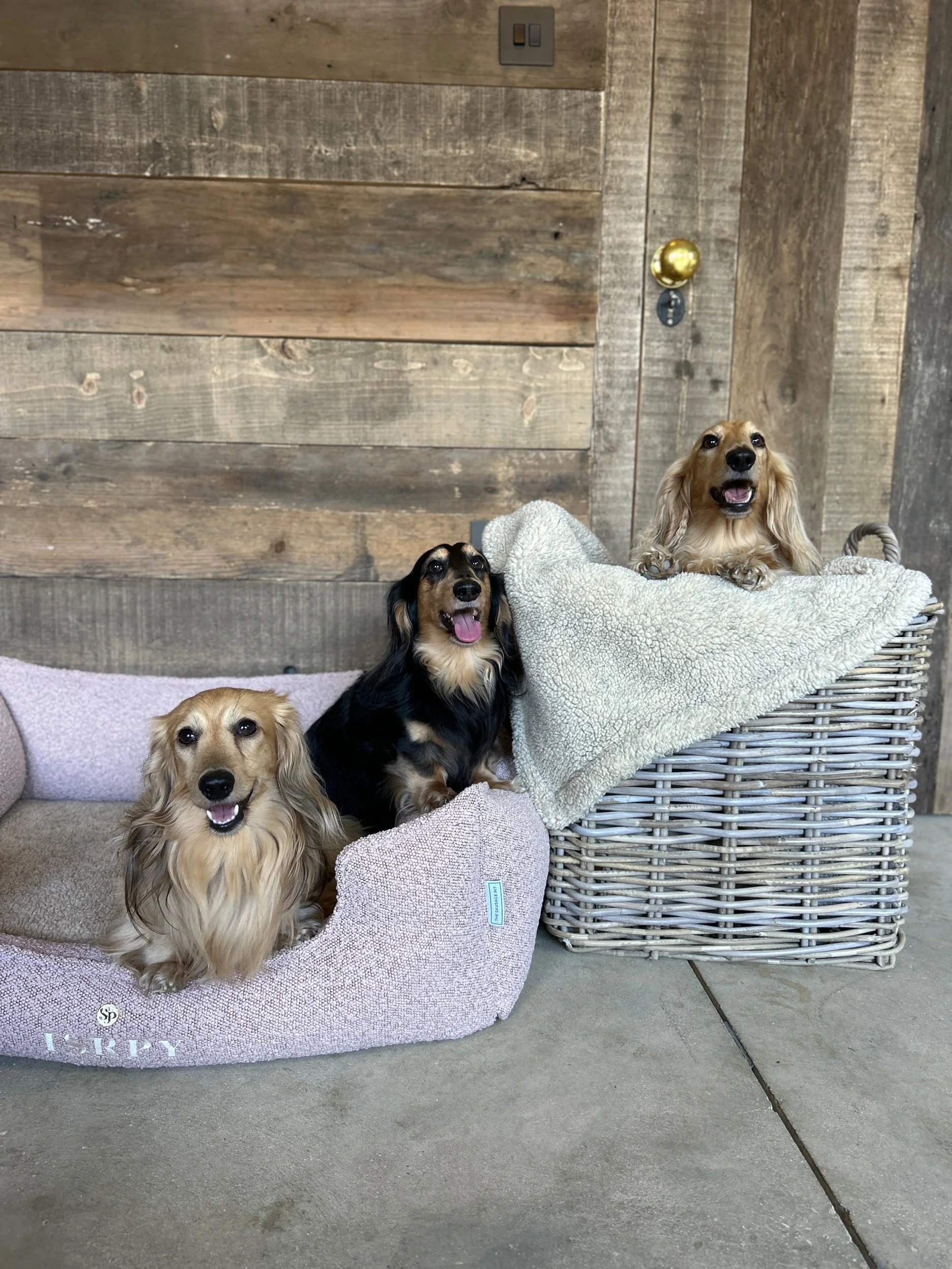 The Burford Bed- NEW* Polly's Pink Boucle