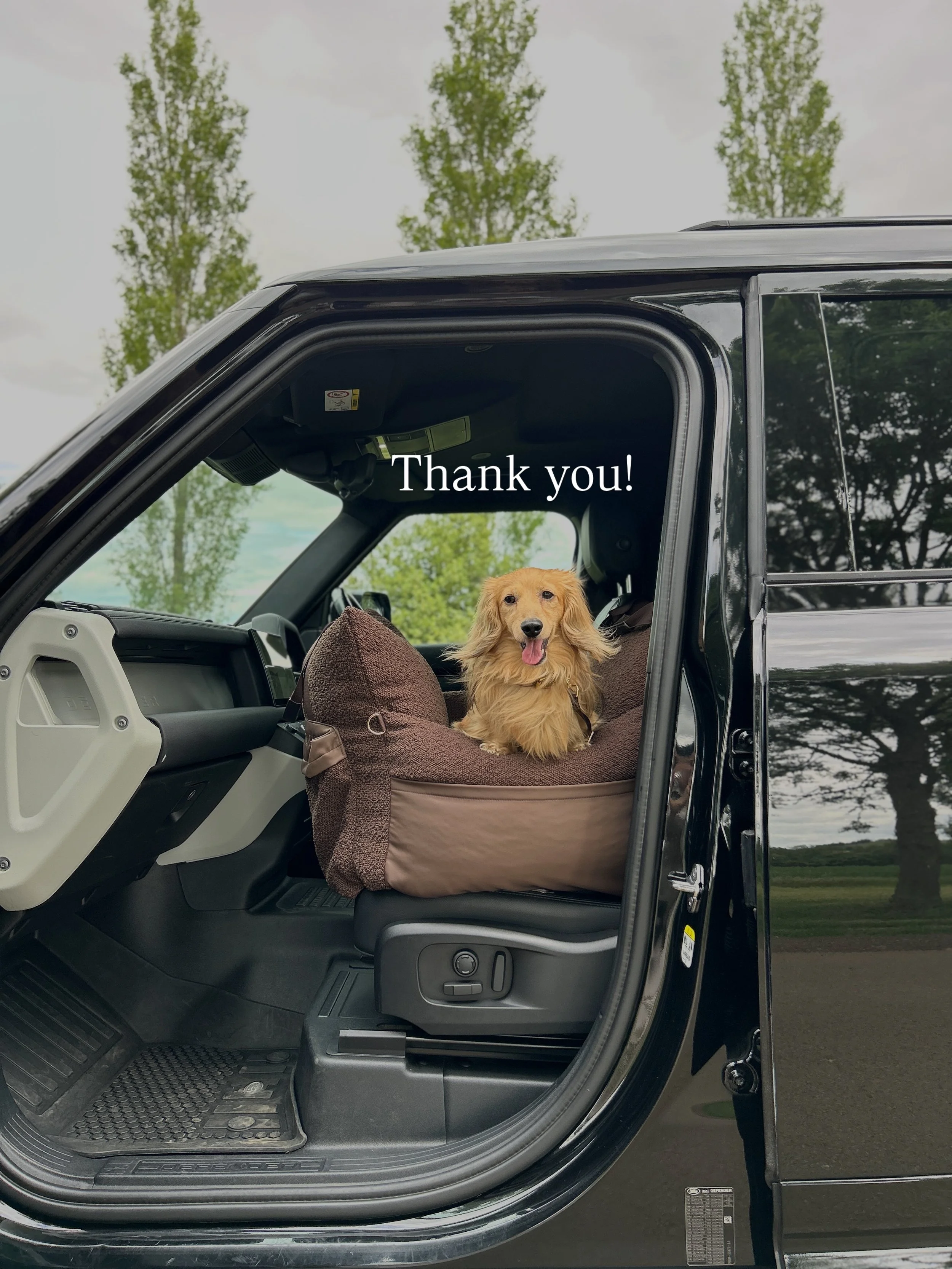 Just wanted to send you all a little message this evening to say Thank you!

Thank you to everyone who has managed to pop an order in over the last 24 hours- we are very grateful! 
.
If you have any questions feel free to pop a comment below &amp; we