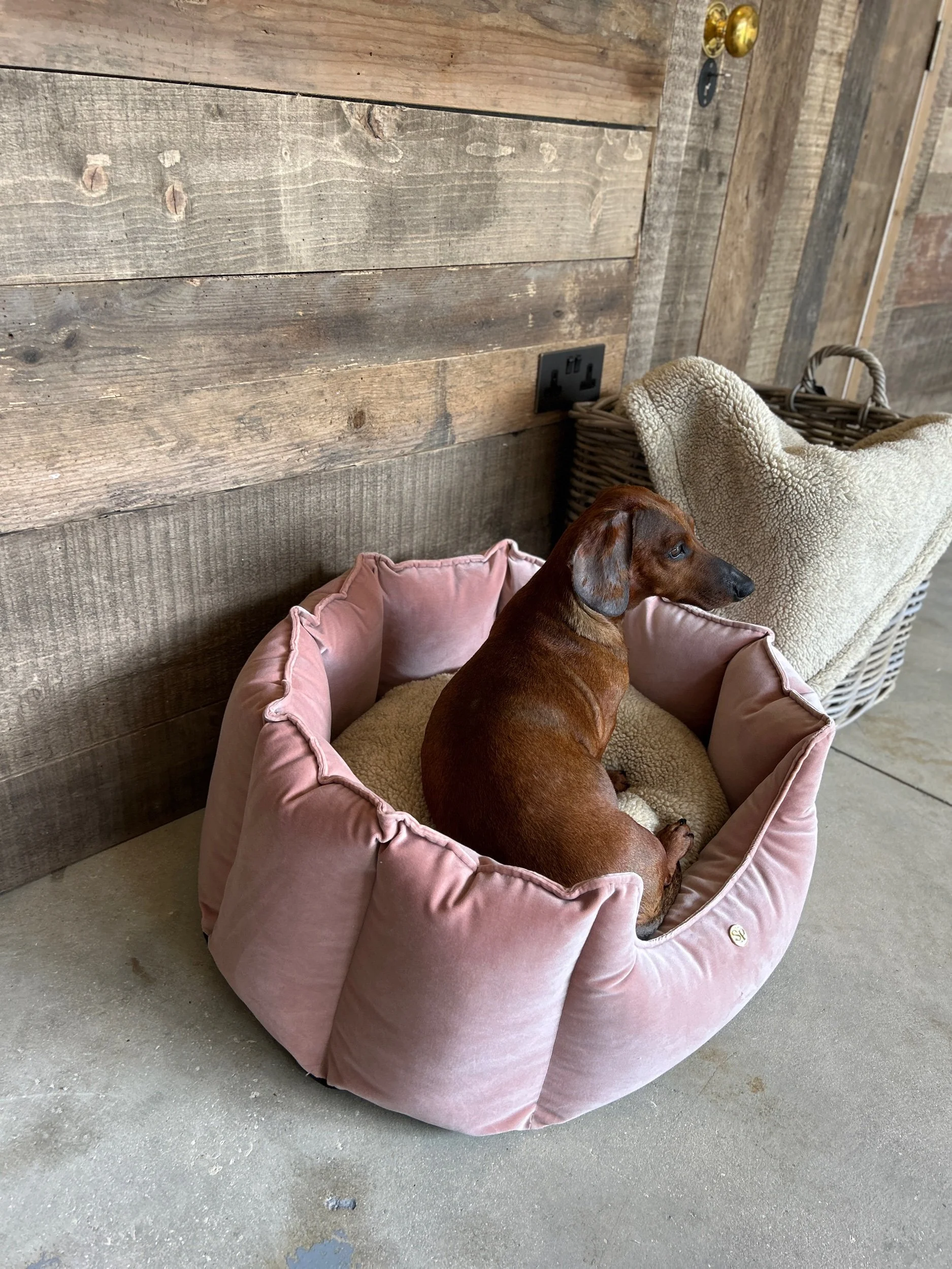 The Cubby Bed- New* Calamine