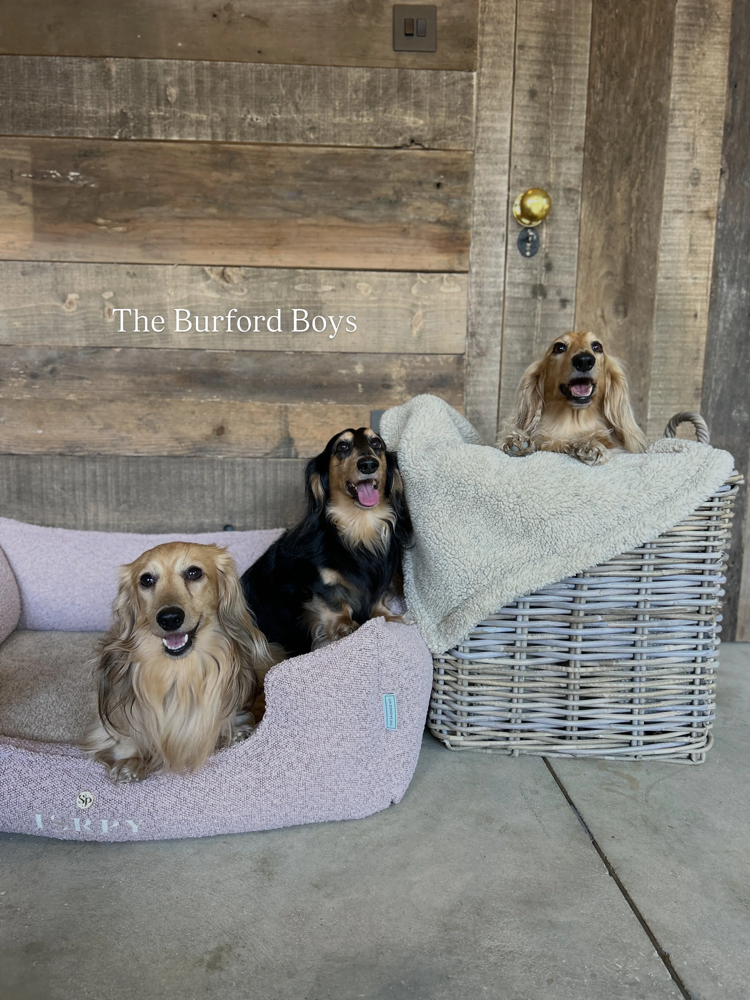 🥹🥹
This week we had the pleasure of inviting our good friends @thebangerbros over to the studio for a lil content shoot 📸

The Burford Boys, in the Burford Beds.. couldnt be more fitting, and they worked sooo hard for us giving us their best smile