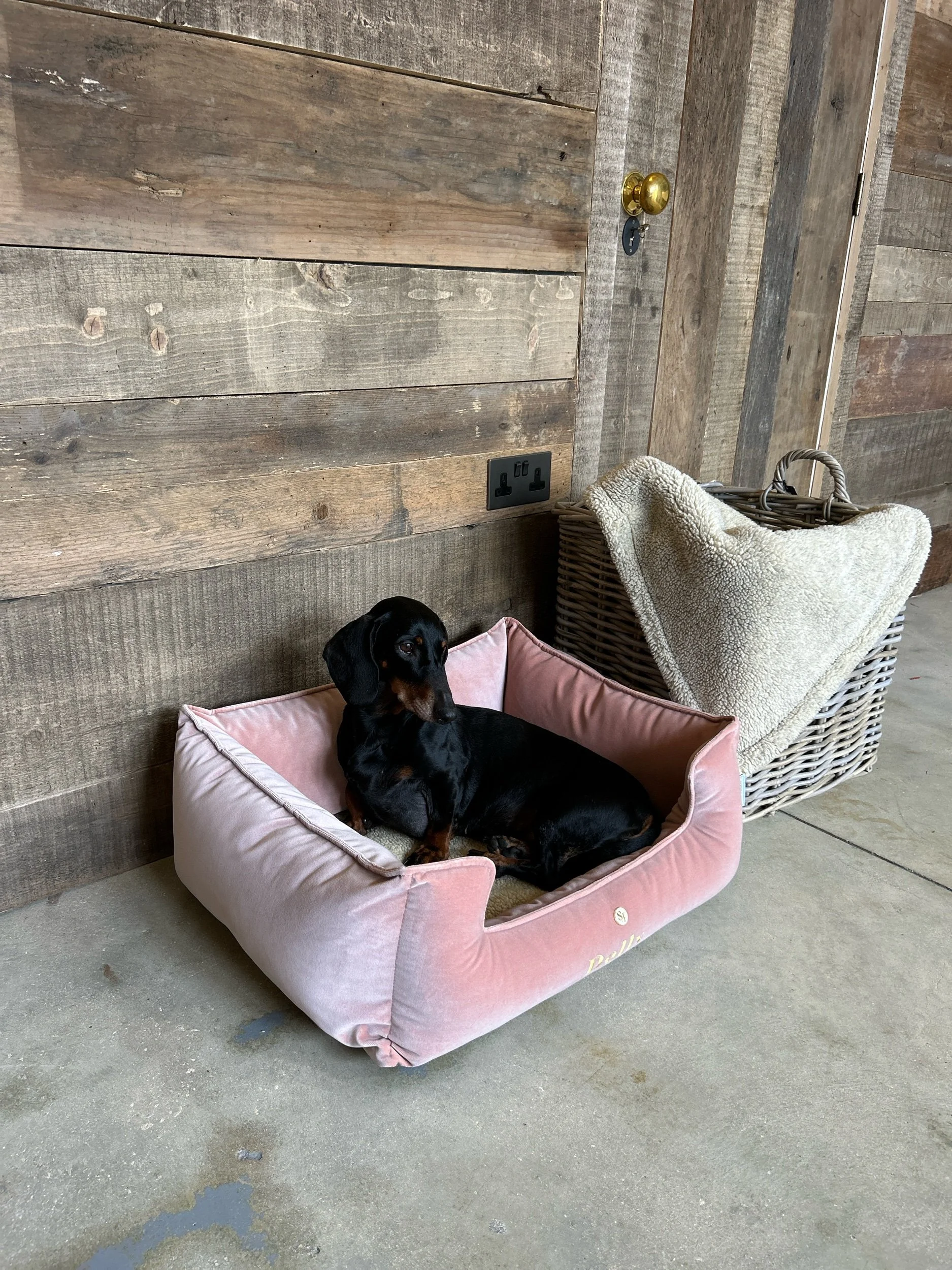 The Burford Bed- NEW*  Calamine Pink Velour