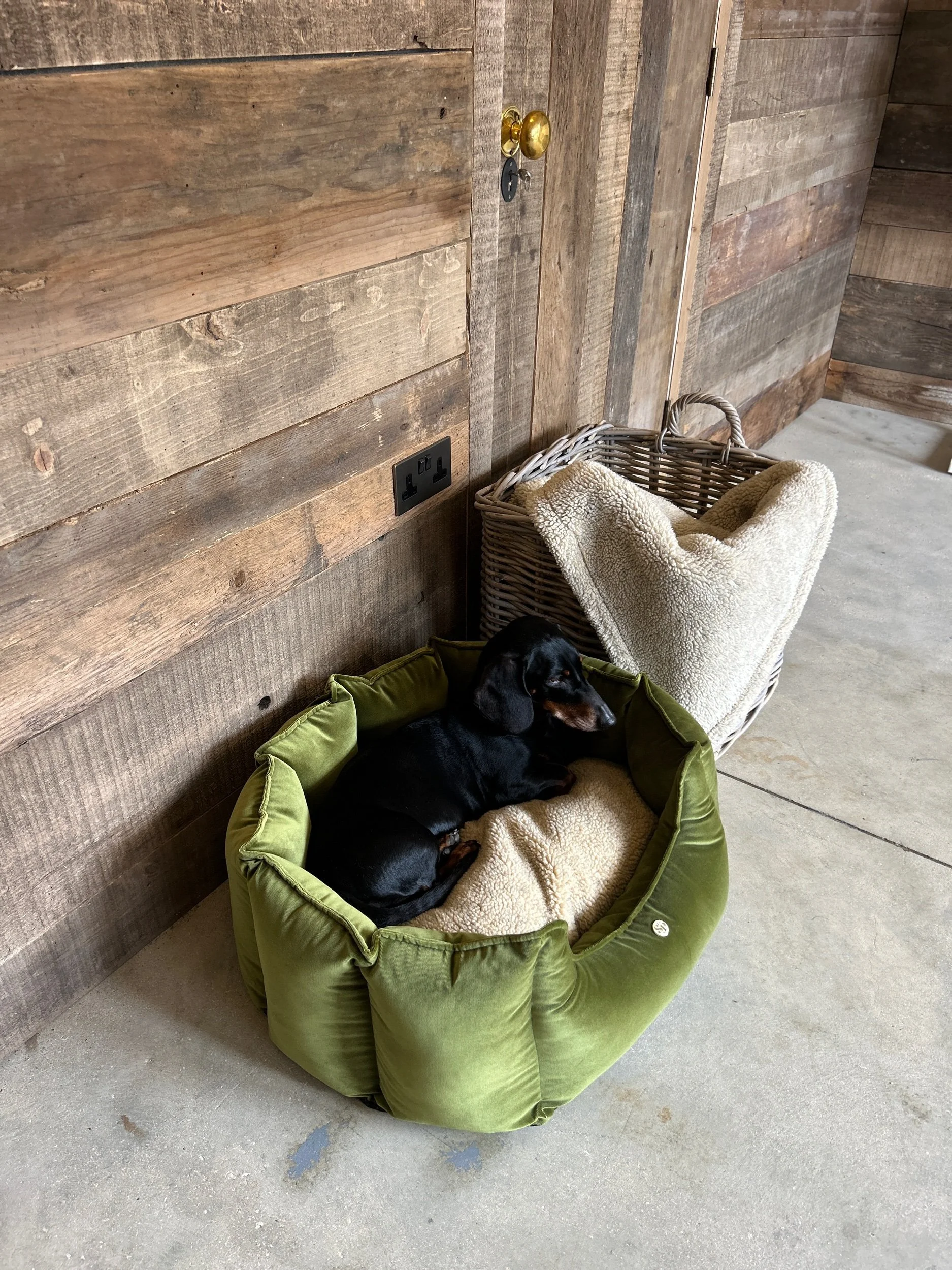 The Cubby Bed- NEW* Milano
