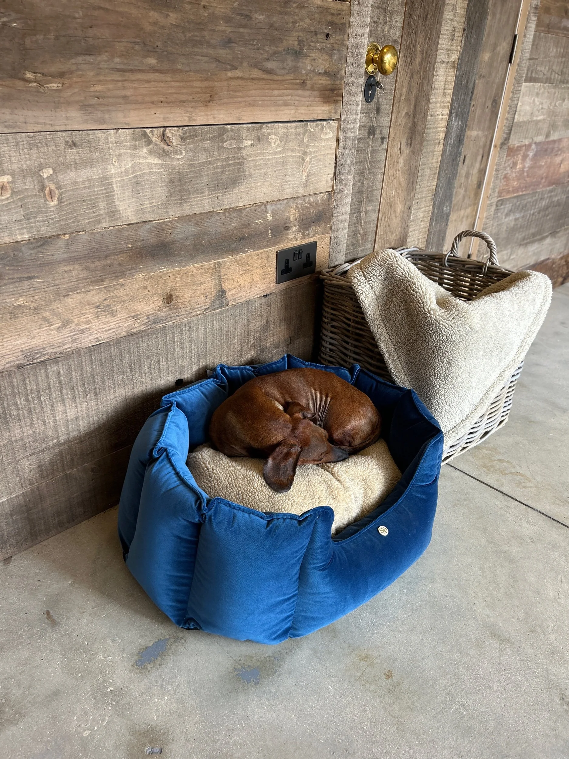 The Cubby Bed- New* Belvedere