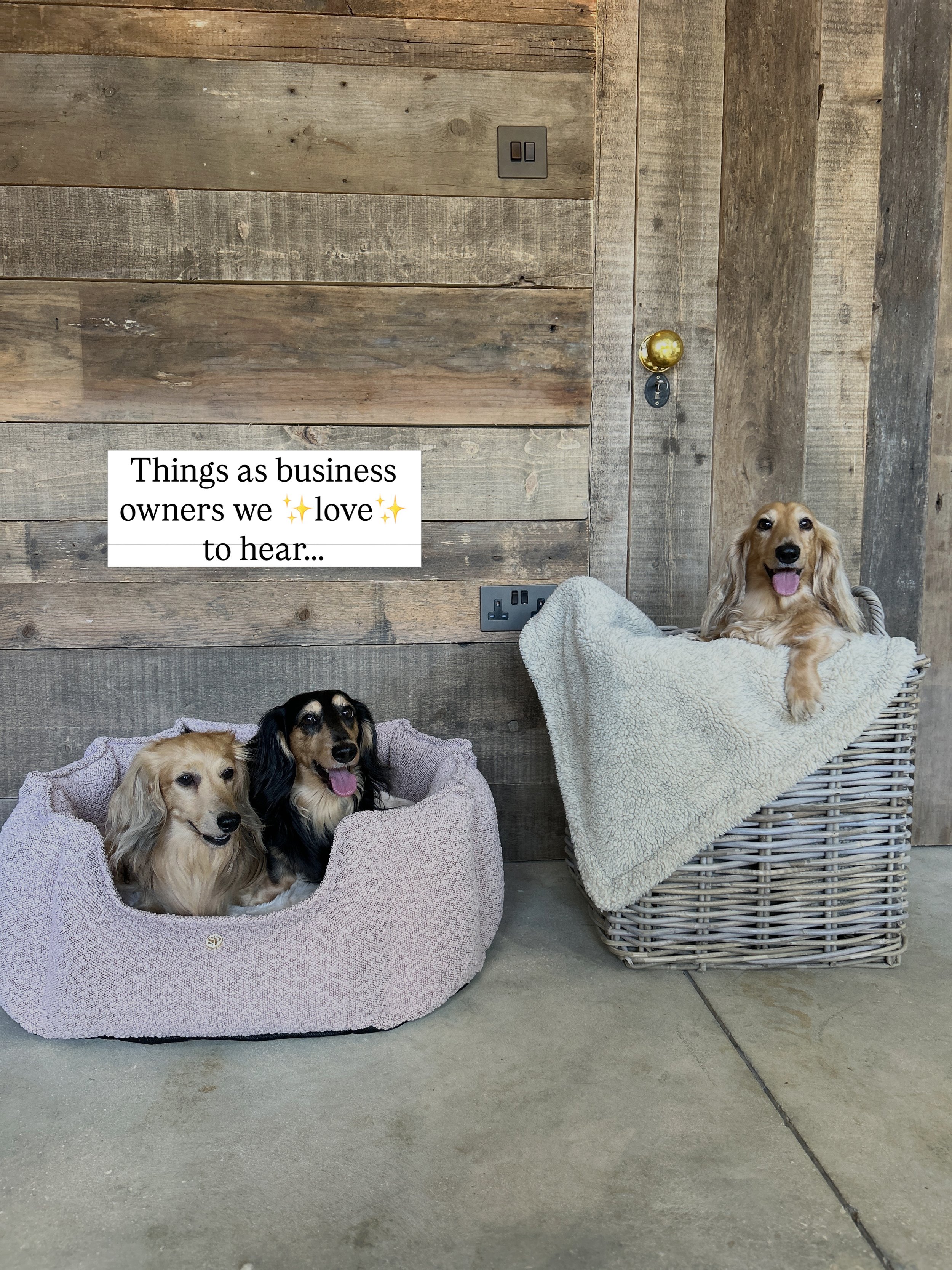 A reminder that you don&rsquo;t need to receive a freebie to be an Influencer&hellip;.

The most powerful Influencer is YOU! A genuine love &amp; between a customer, a product and a brand where you purchased an item and you tell all your friends abou