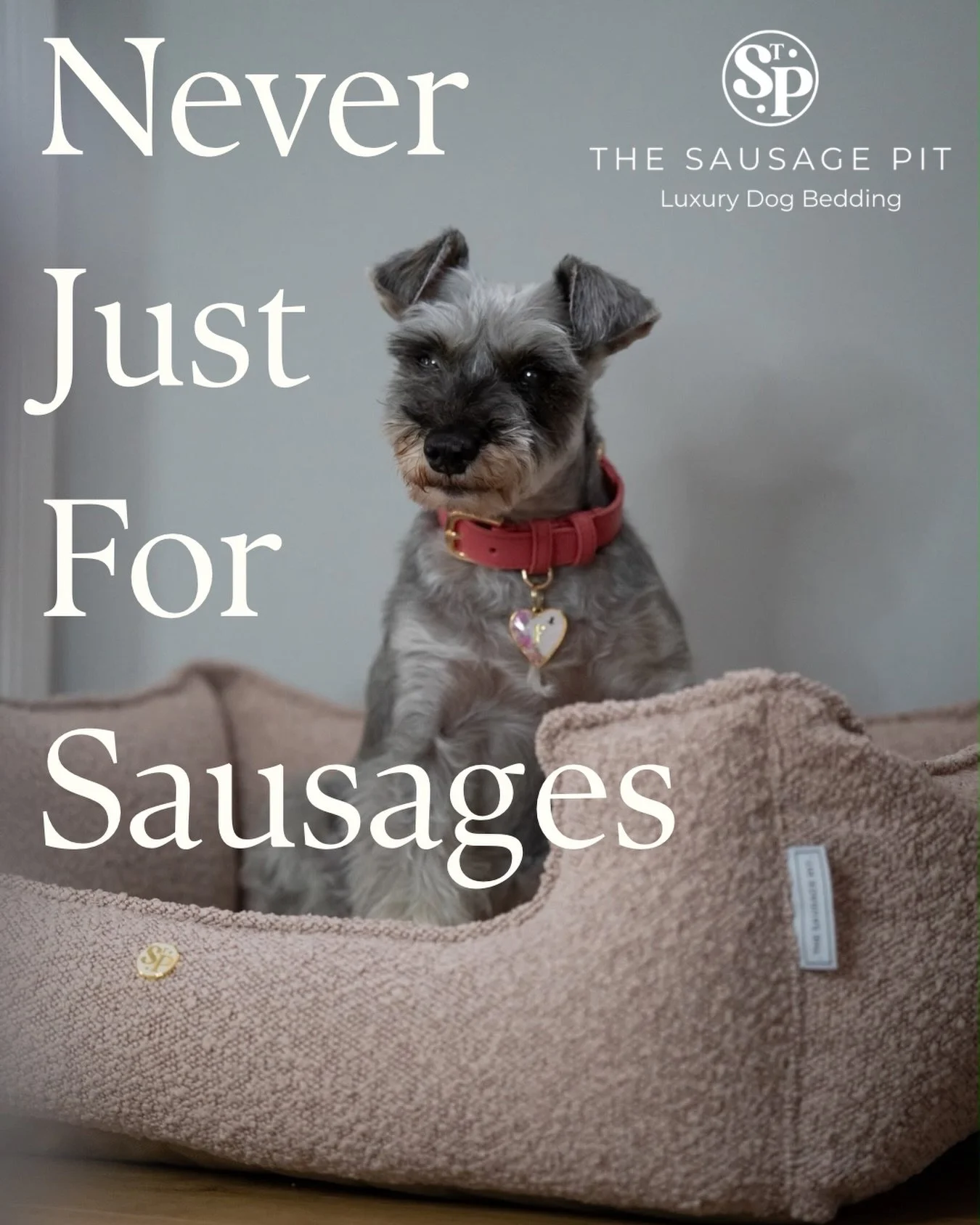 Saying it LOUDER for those at the back 🙋🏻&zwj;♀️

We really do get asked often &ldquo;are your products just for Sausages&rdquo; and its becoming more &amp; more frequent 🤷🏻&zwj;♀️

As our business has evolved over the last 7 years, so have our p