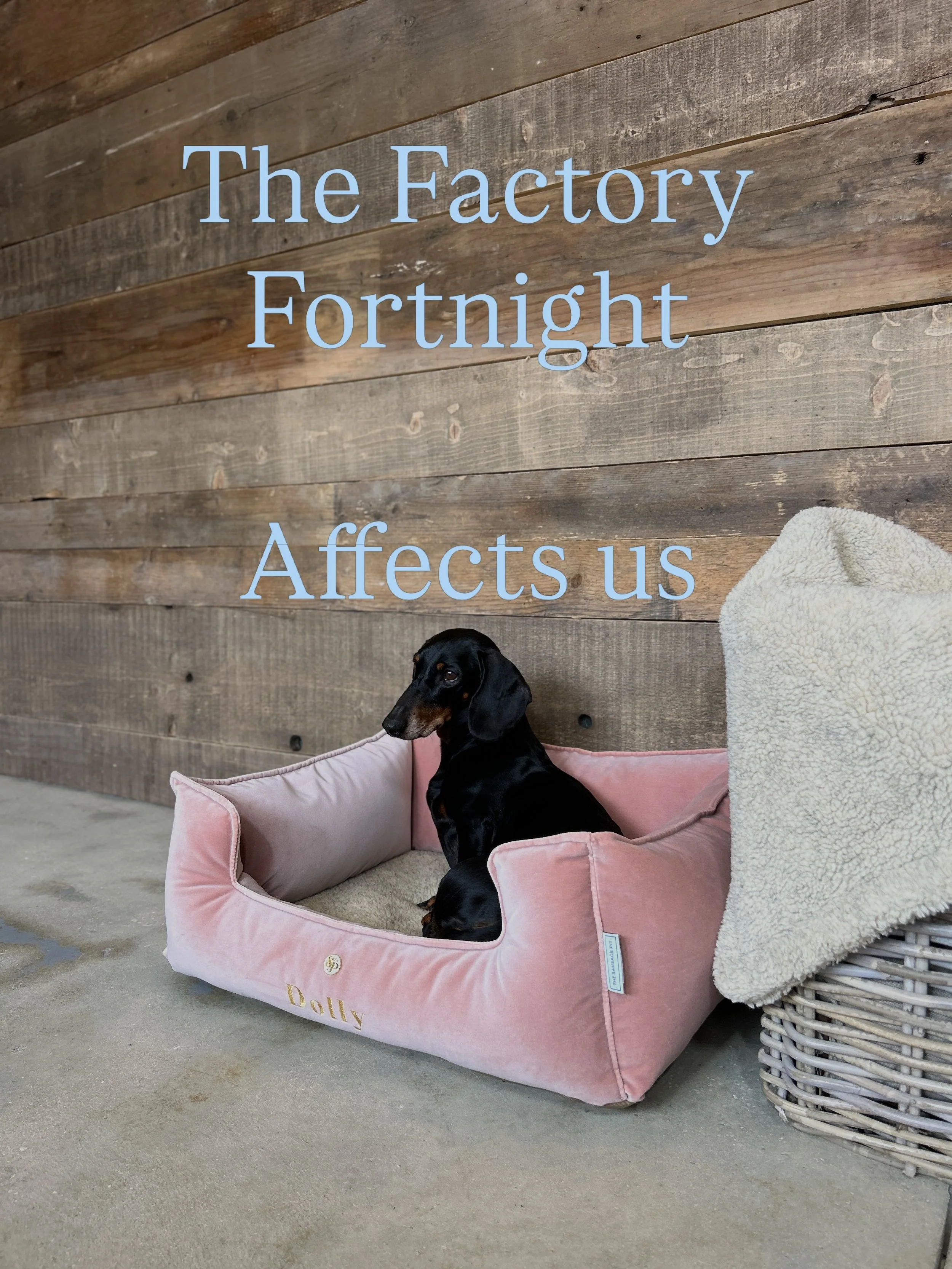For Two weeks a year the UK Manufacturing Industries pause for a summer holiday. Traditionally Production Halts to allow workers a well deserved rest. 

And whilst here at TSP, we are small enough to be able to work through this.. there are certain p