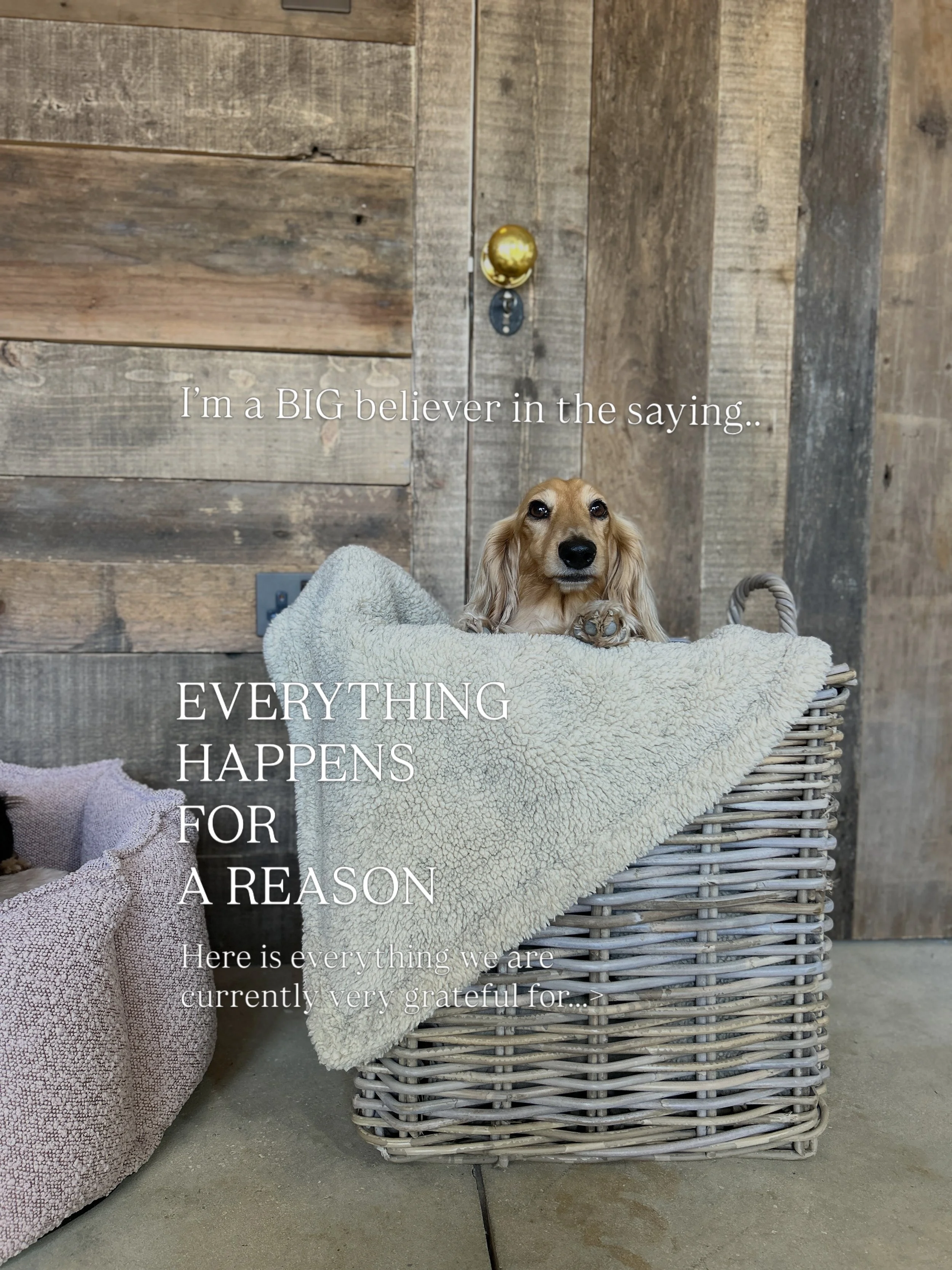 Who believes the saying that everything happens for a reason? I Do, alot. 🙋🏻&zwj;♀️

There are things on this list that if we didn&rsquo;t make happen this year.. then we wouldn&rsquo;t be turning ourselves into the factory.

Feeling very grateful 
