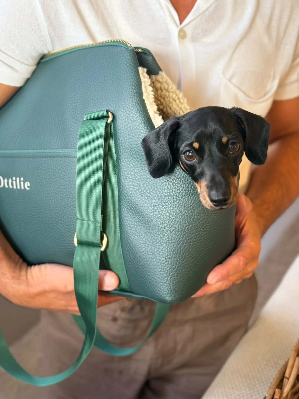 Bespoke Soho Carrier- Forrest Green