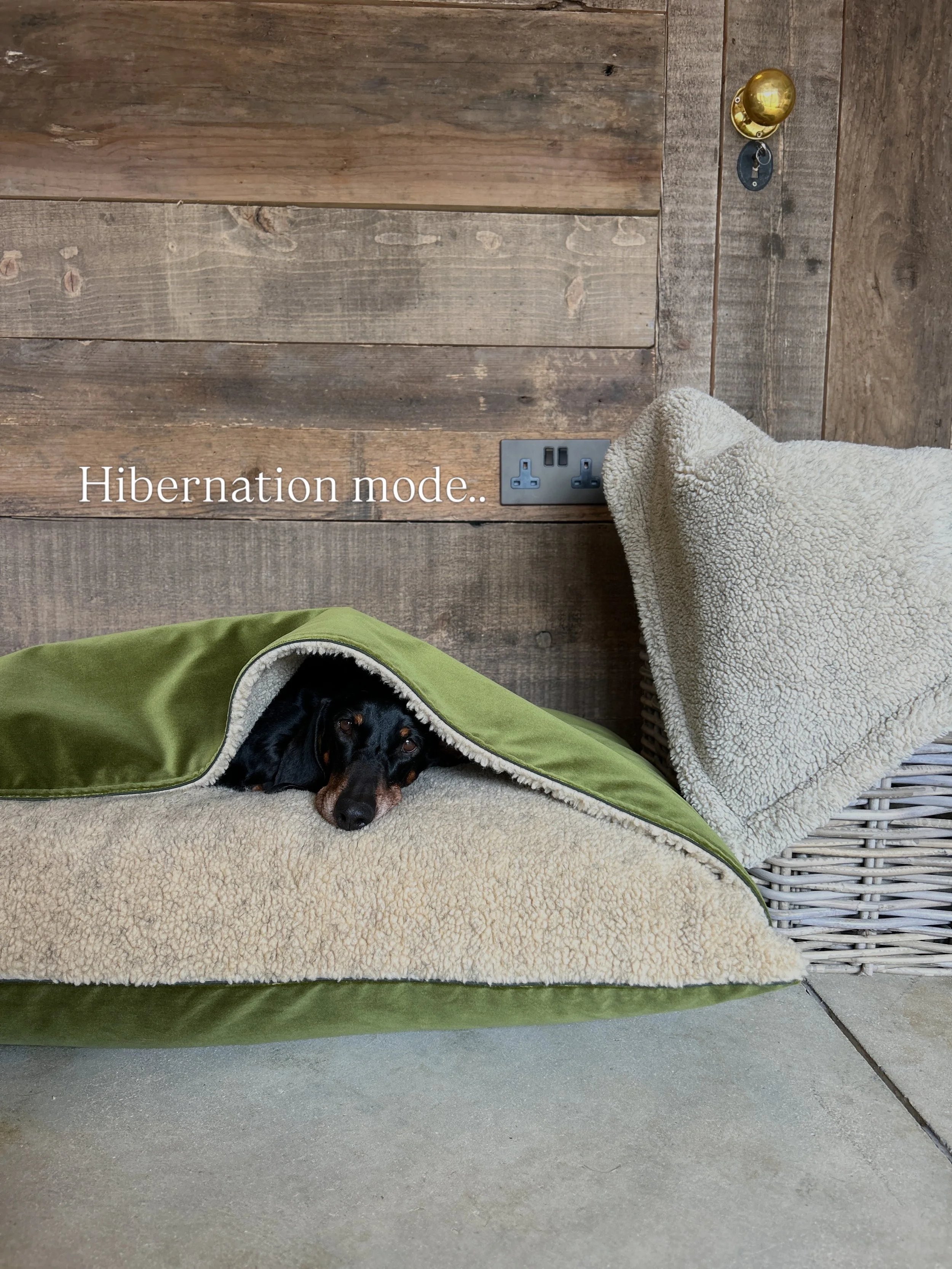 You don&rsquo;t need to tell us your dog has been in their Pits all day today&hellip; we know 🔮

☔️🍂🌧️🌂

The Sausage Pit | Dog Bed | Luxury Dog Bed | Cotswold Manufacturer | Made in the Uk | Snuggle Bed | Hibernating | Dachshund | Sausage Dog