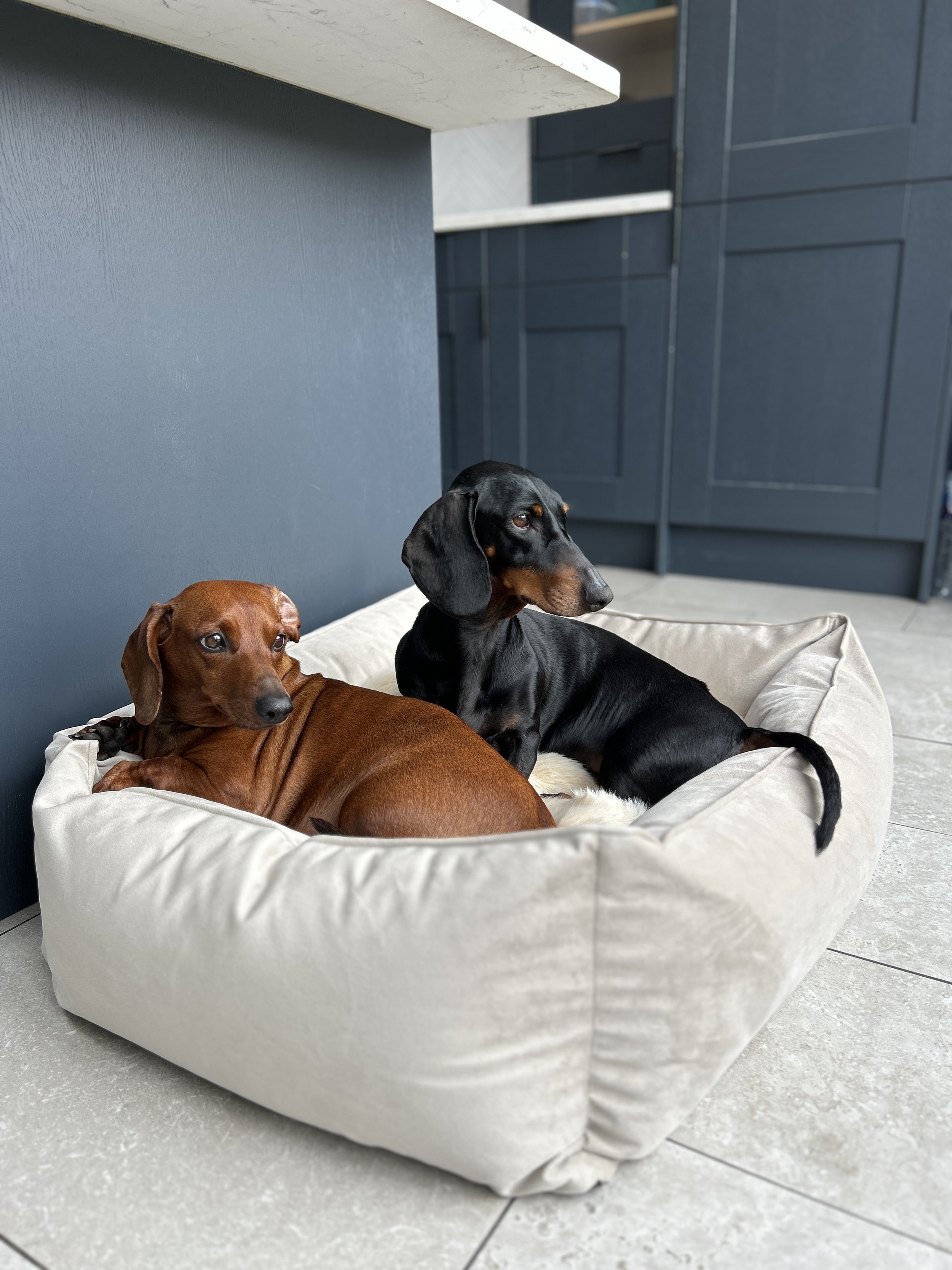 The Sausage Pit