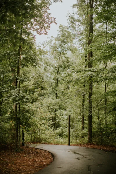 By Thy Light We See... The Leaders' Journey... a post by Jim Cofield