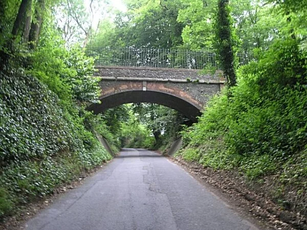 Rhythm of Change... by Joy Cofield