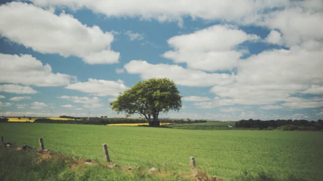 Parenting at Godspeed...a post shared by Axis Ministries