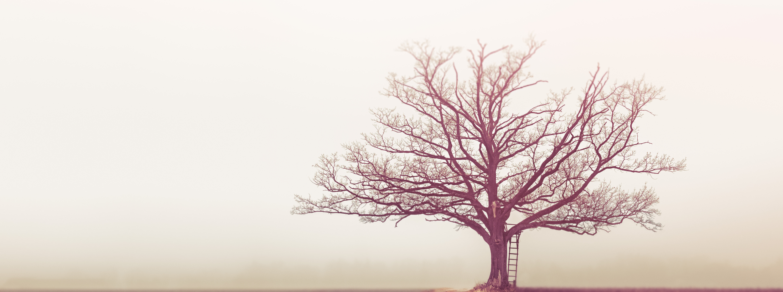 Solitude &amp; Silence