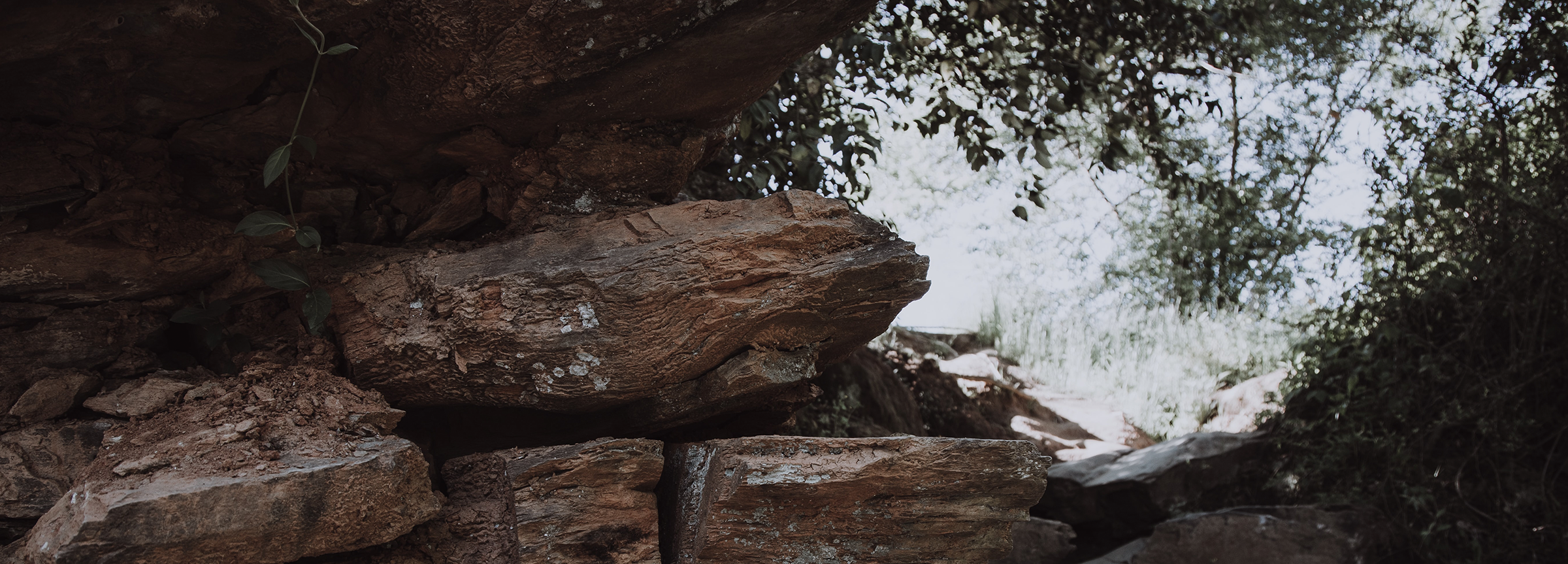 A Risen &amp; Resilient Life