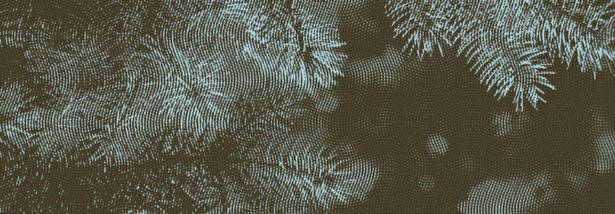 Christmas Message 2023