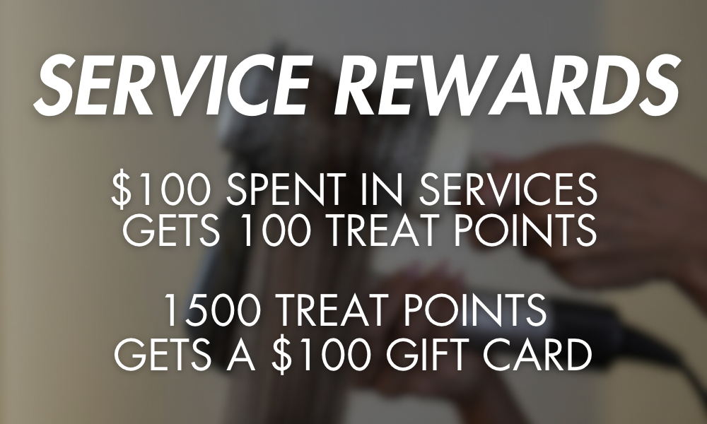 website spotlights - 1.png