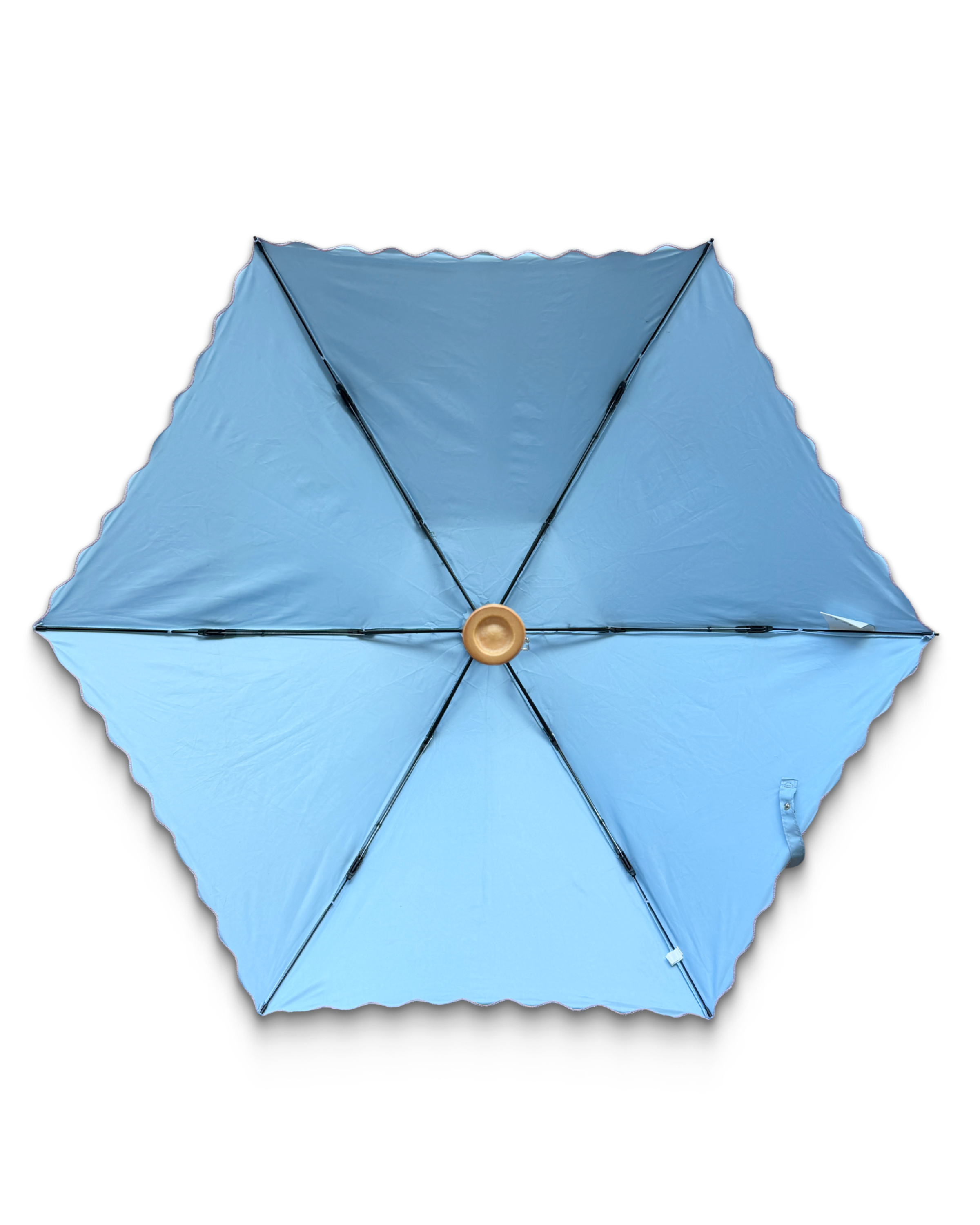 vw umbrella back.png