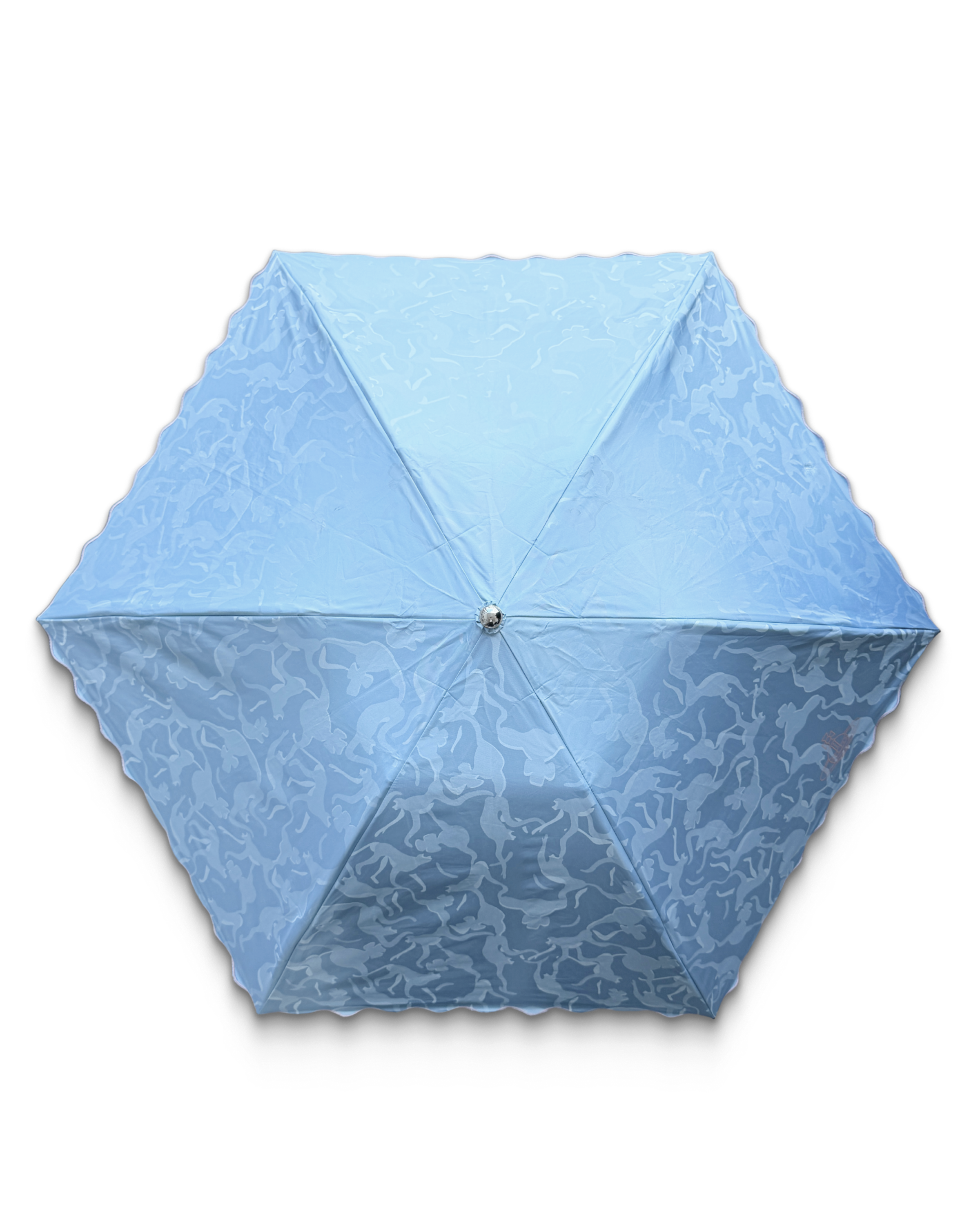vw umbrella.png