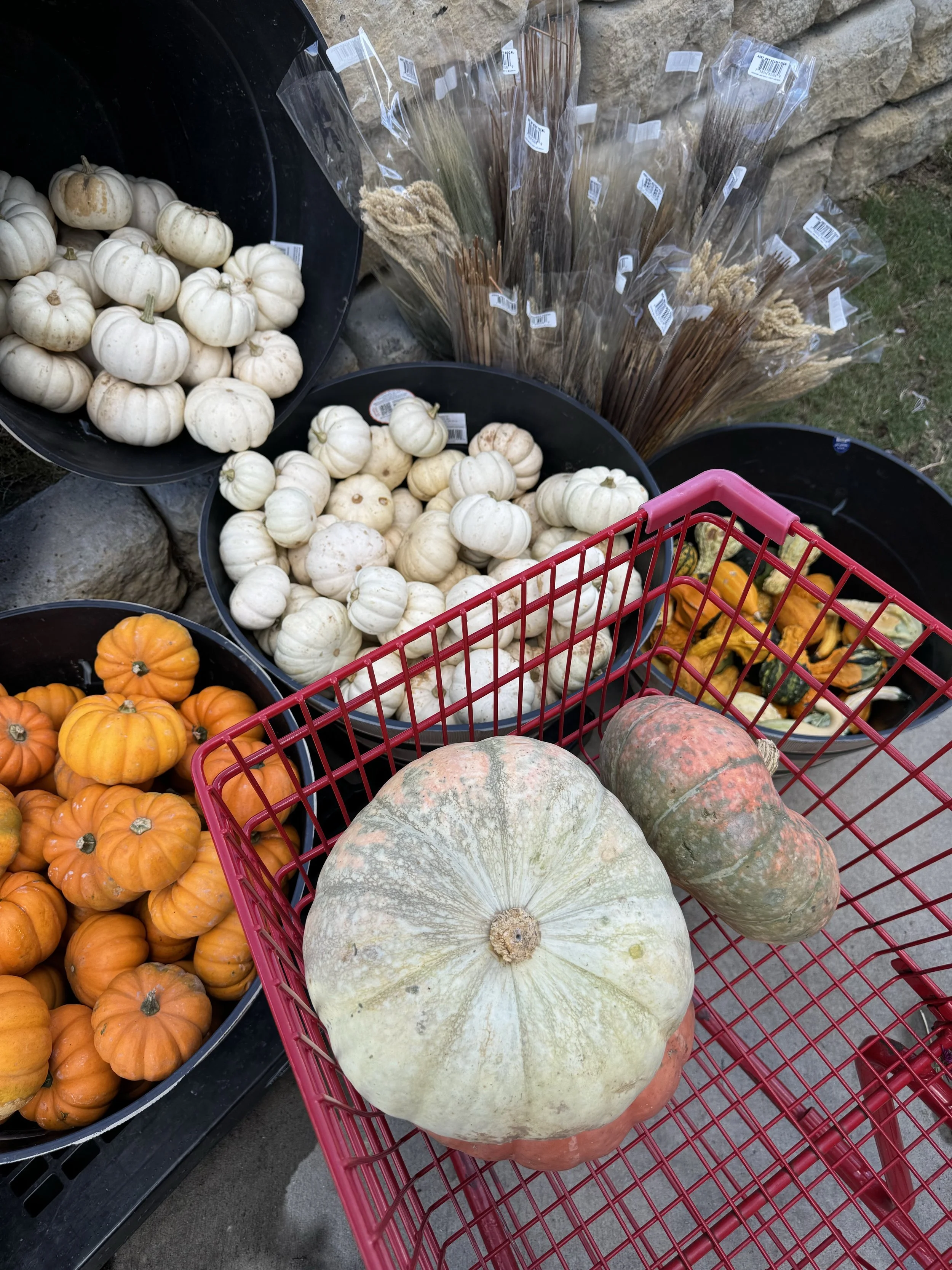 What’s In My Cart: Fall 2024 Style Guide