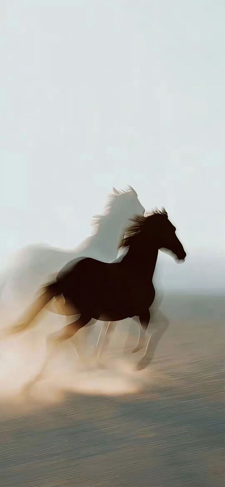 Moving Forward With Intention — The Year of the Horse