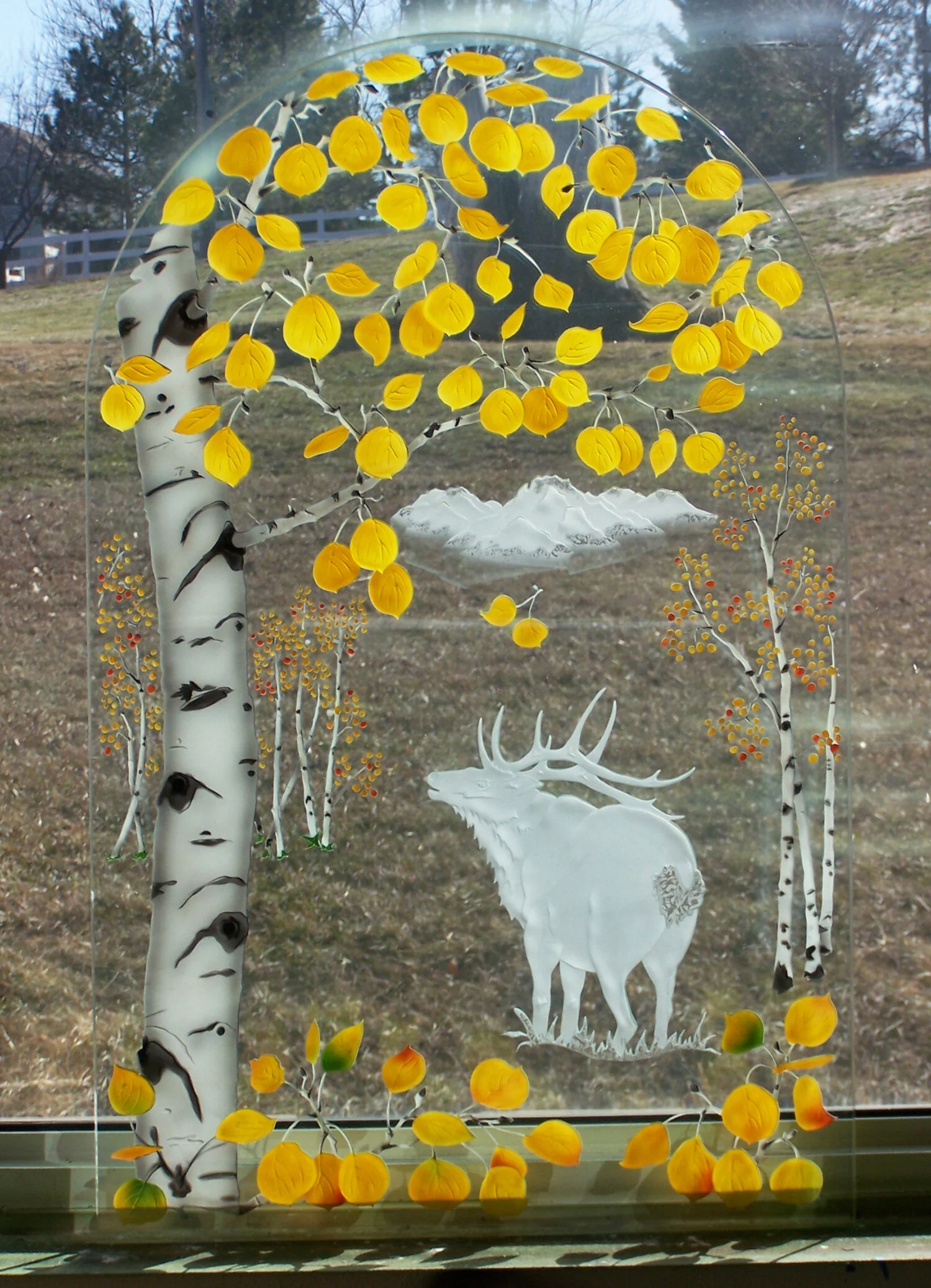 aspen-elk-arched.jpg