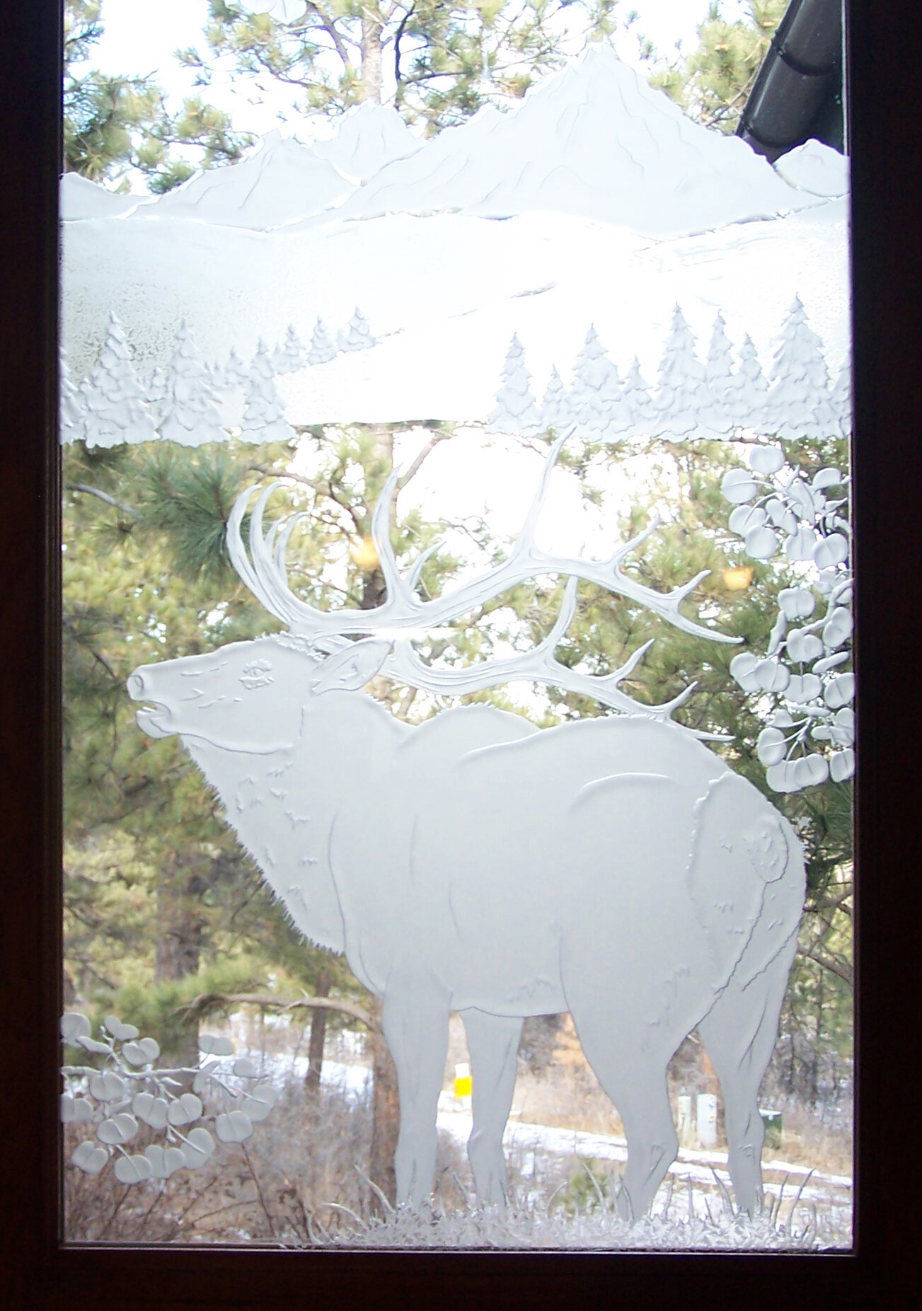 elk_2746_web.jpg