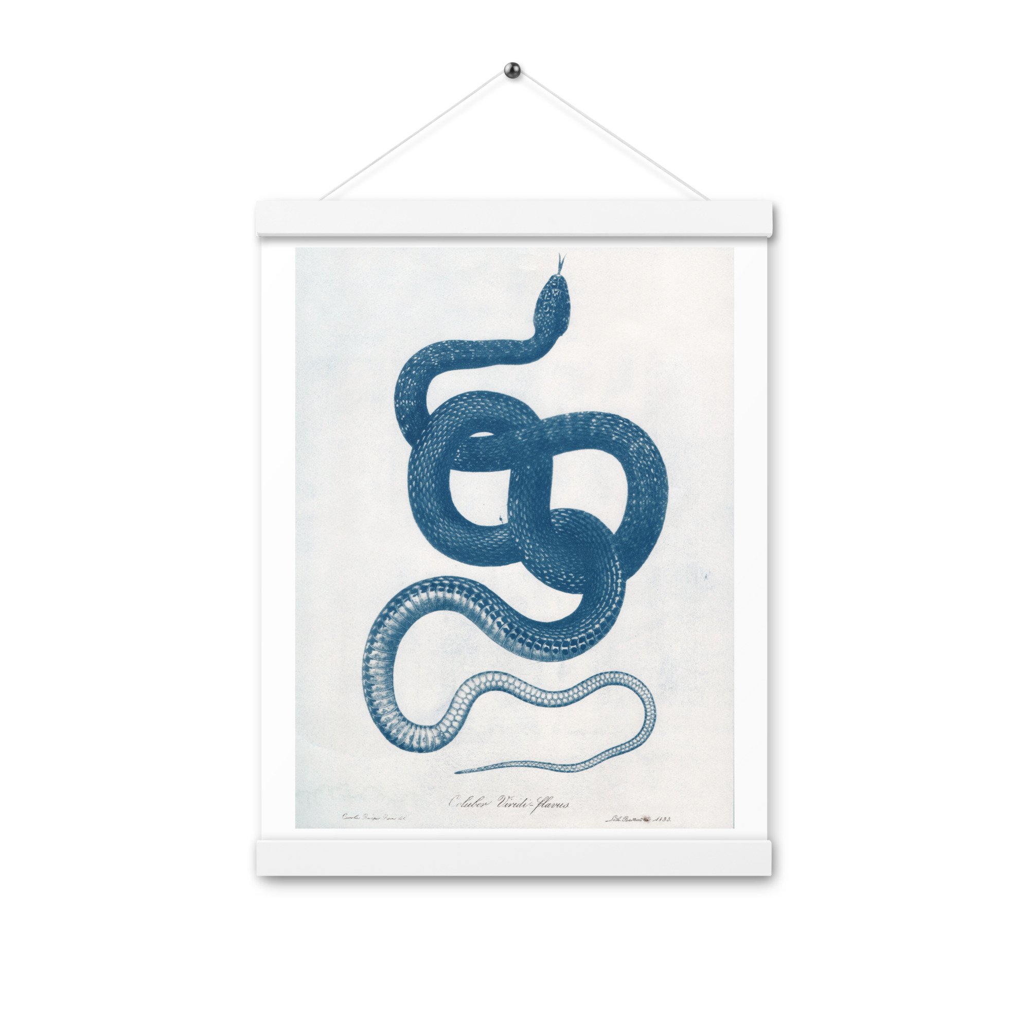 enhanced-matte-paper-poster-with-hanger-(in)-white-12x16-front-66482d82d60b8.jpg