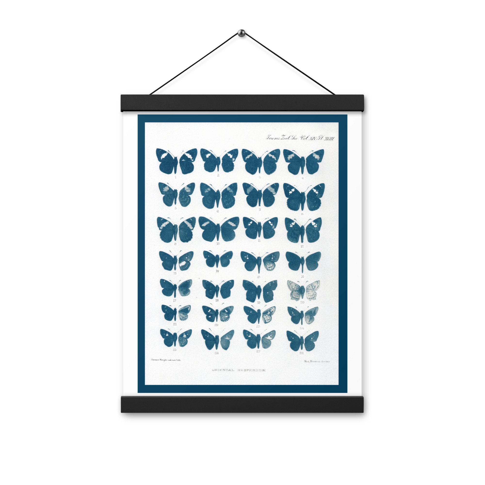 Flutter | Print with hangers — KSX ART