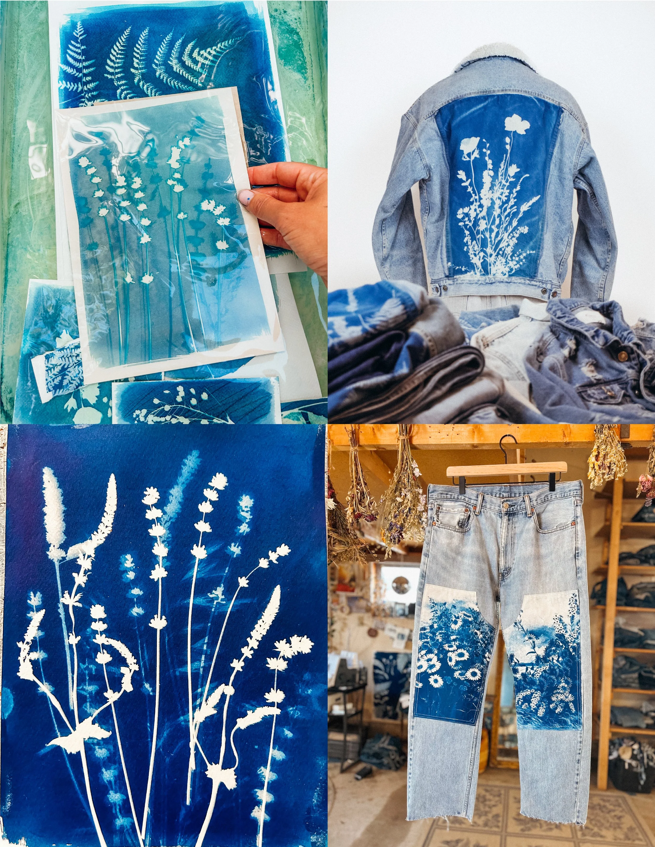 The Complete Guide To Cyanotype Printing - Beginner + Advanced  (Digital Download)