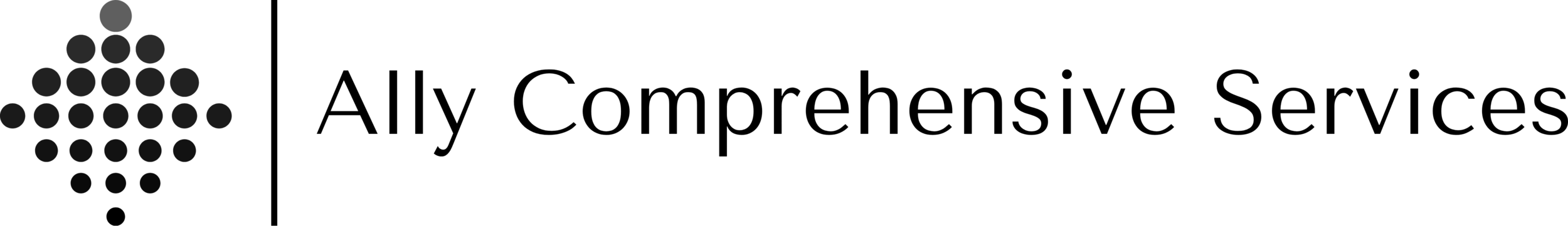 Ally Comprehensive Services Black Logo