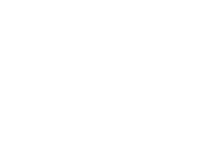 SNWMNSTR 