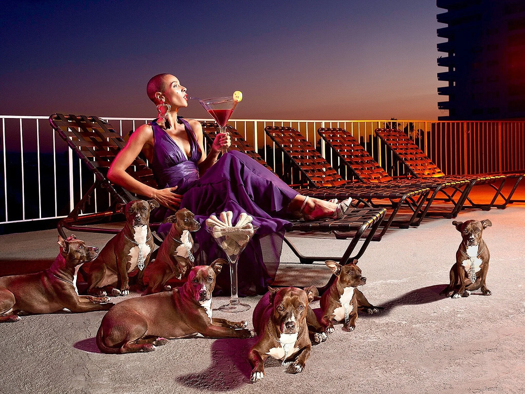 Orsoya Sierra Photography | Fashion Photography | Conceptual Portrait Photography | Dog Photography | Fashion Model Stacey Bournes     