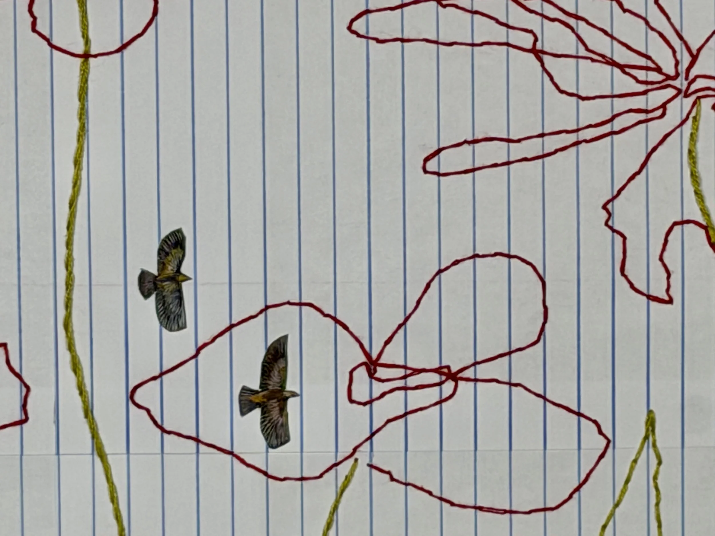 Arcadia Flowers.jpg