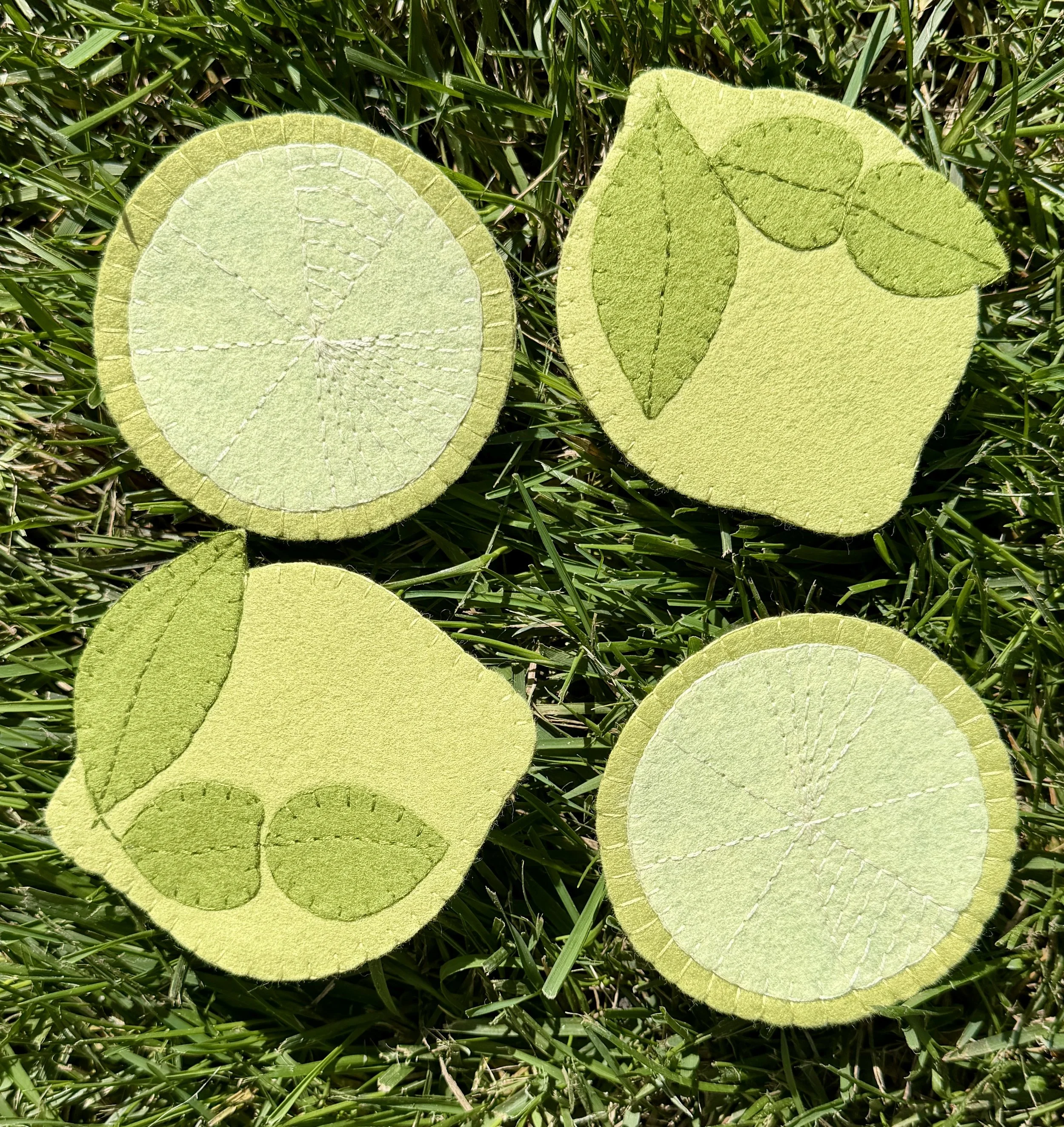 Lime Coasters