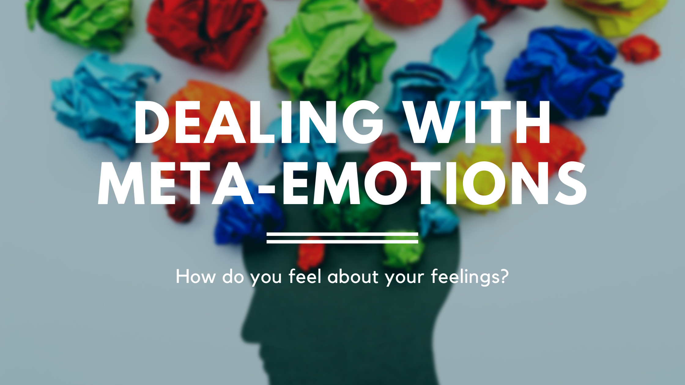 Article: Your Meta-Emotions