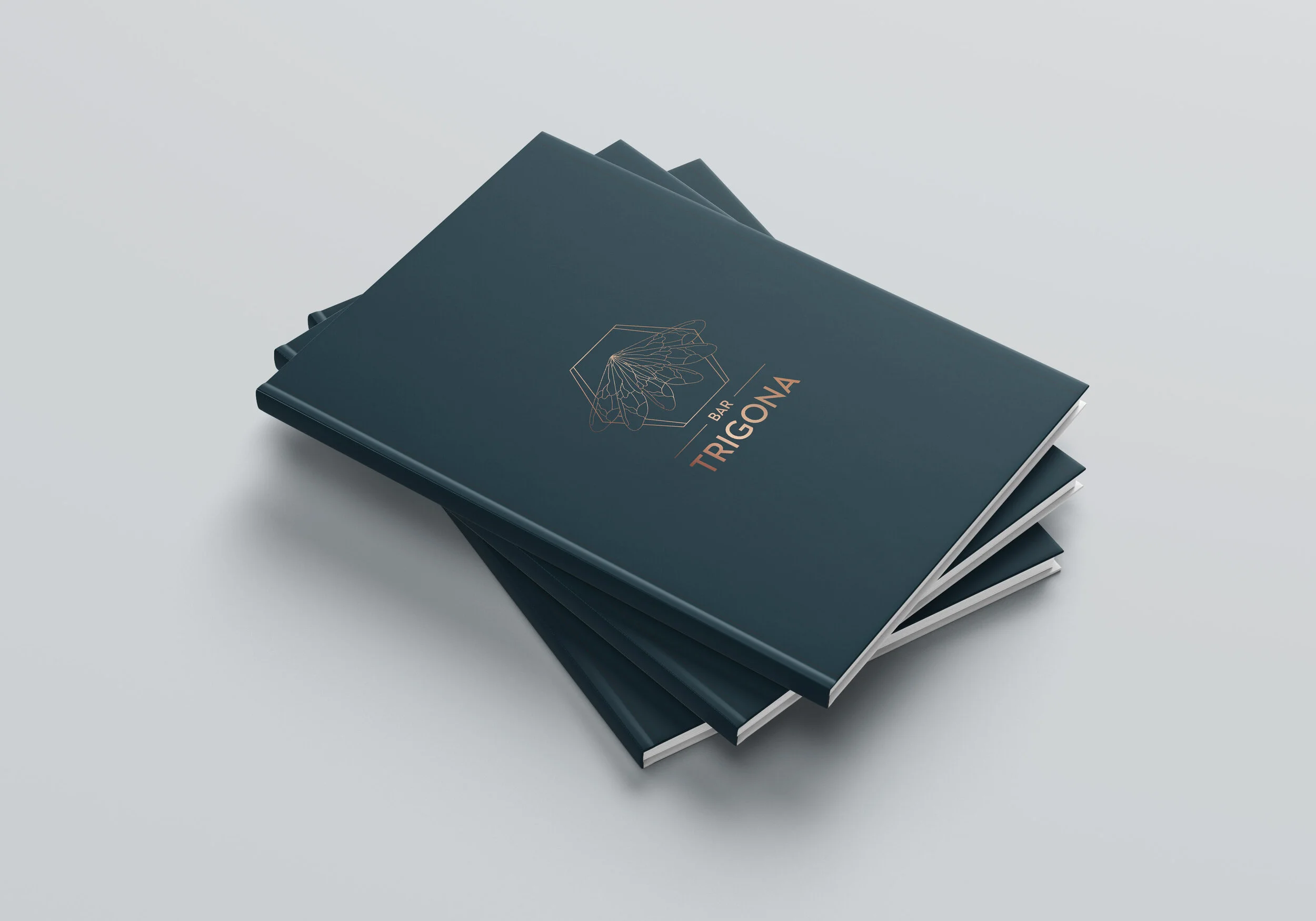 Bar trigona cover mockup.jpg