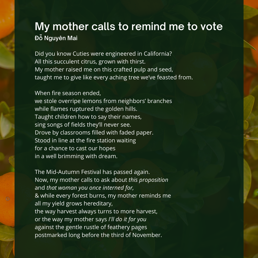    My Mother Calls to Remind Me to Vote   | Poem by Mai Do for the AAPI Civic Engagement Fund 