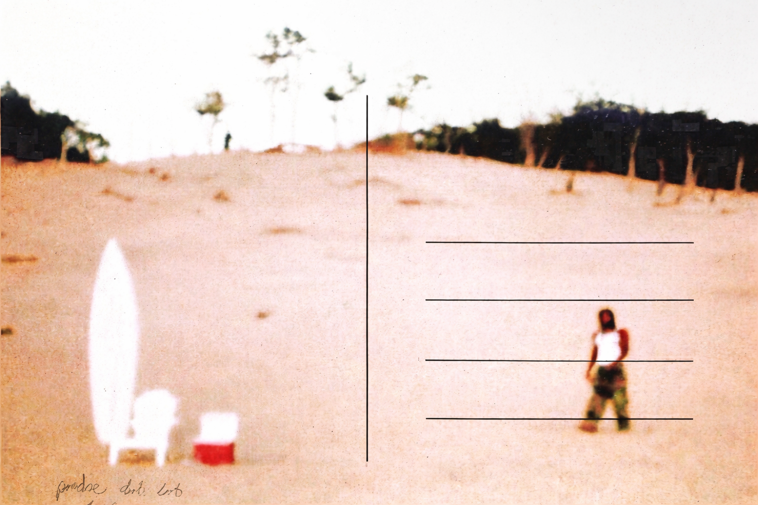 Quiet dunes and tranquil solitude.png