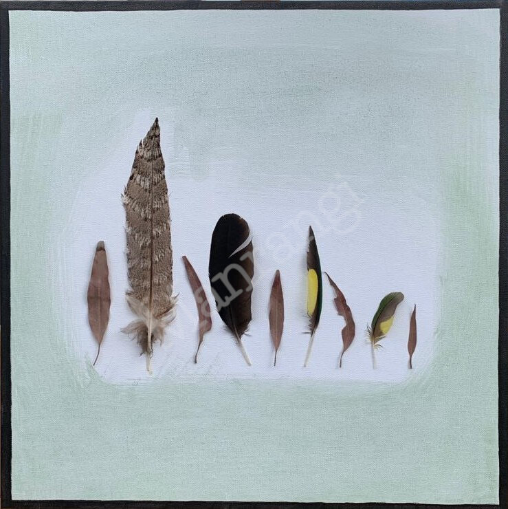 Leaf and feather