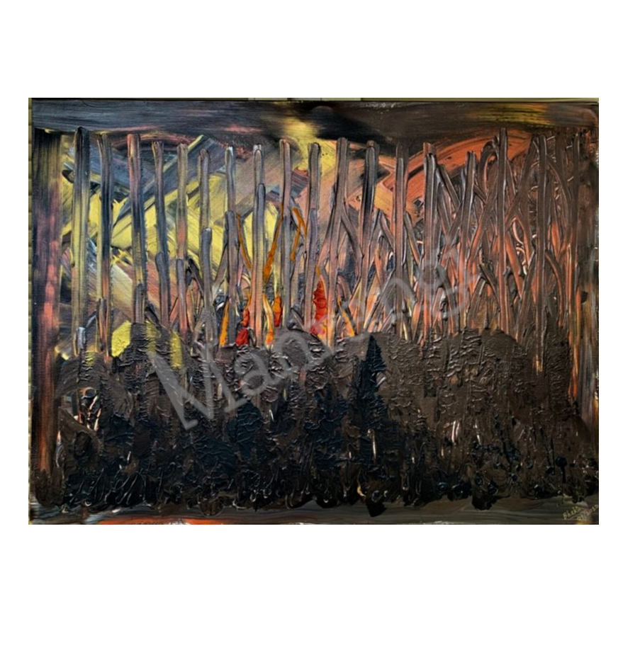 Australian Bushfire 1 - watermark.png